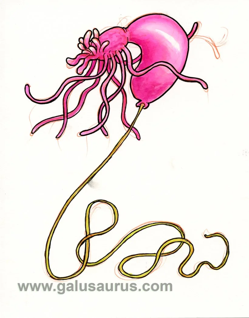 202223-arachnid-b-WM.jpg