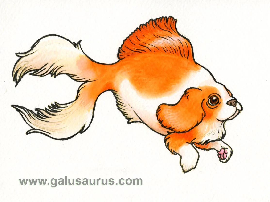 2024-26-goldfish-b-WM-small.jpg