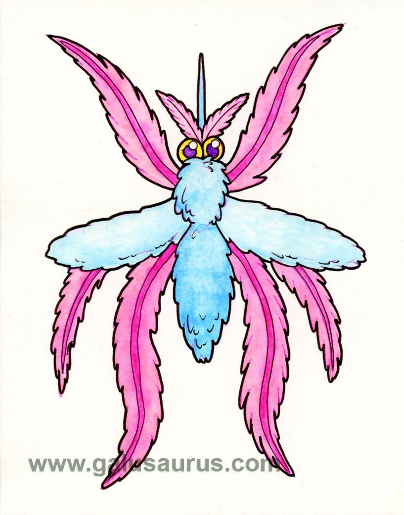 2024-30-mosquito-c-WM-small.jpg