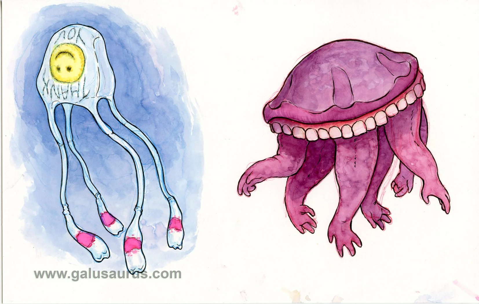 202230-jellyfish-a-WM.jpg