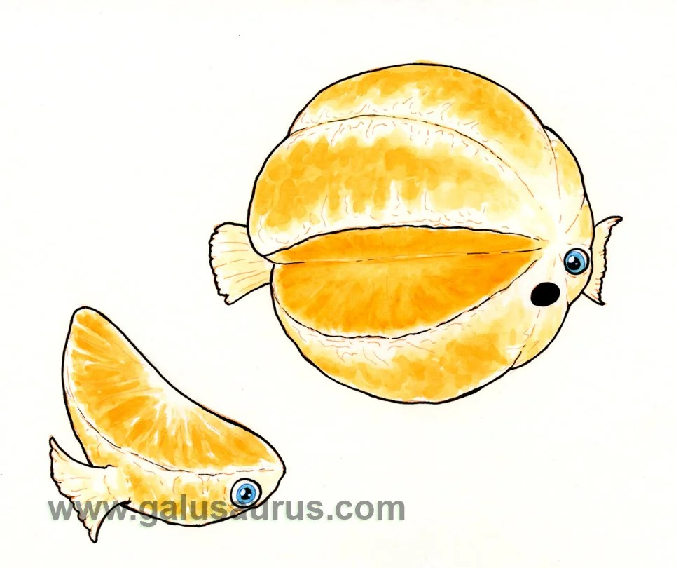 2024-04-pufferfish-b3-WM-small.jpg