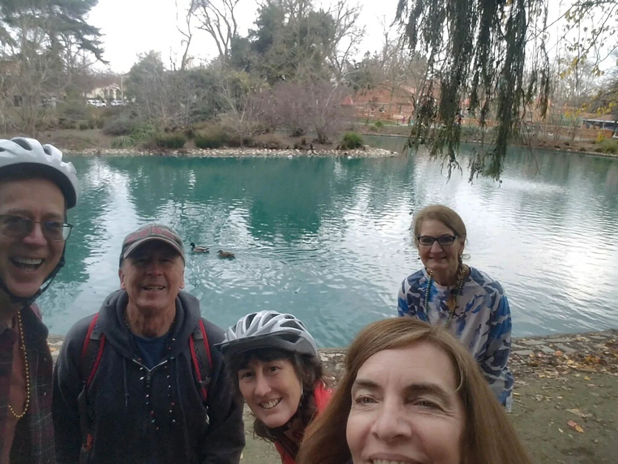 two flat tires and a rusty chain: duck
