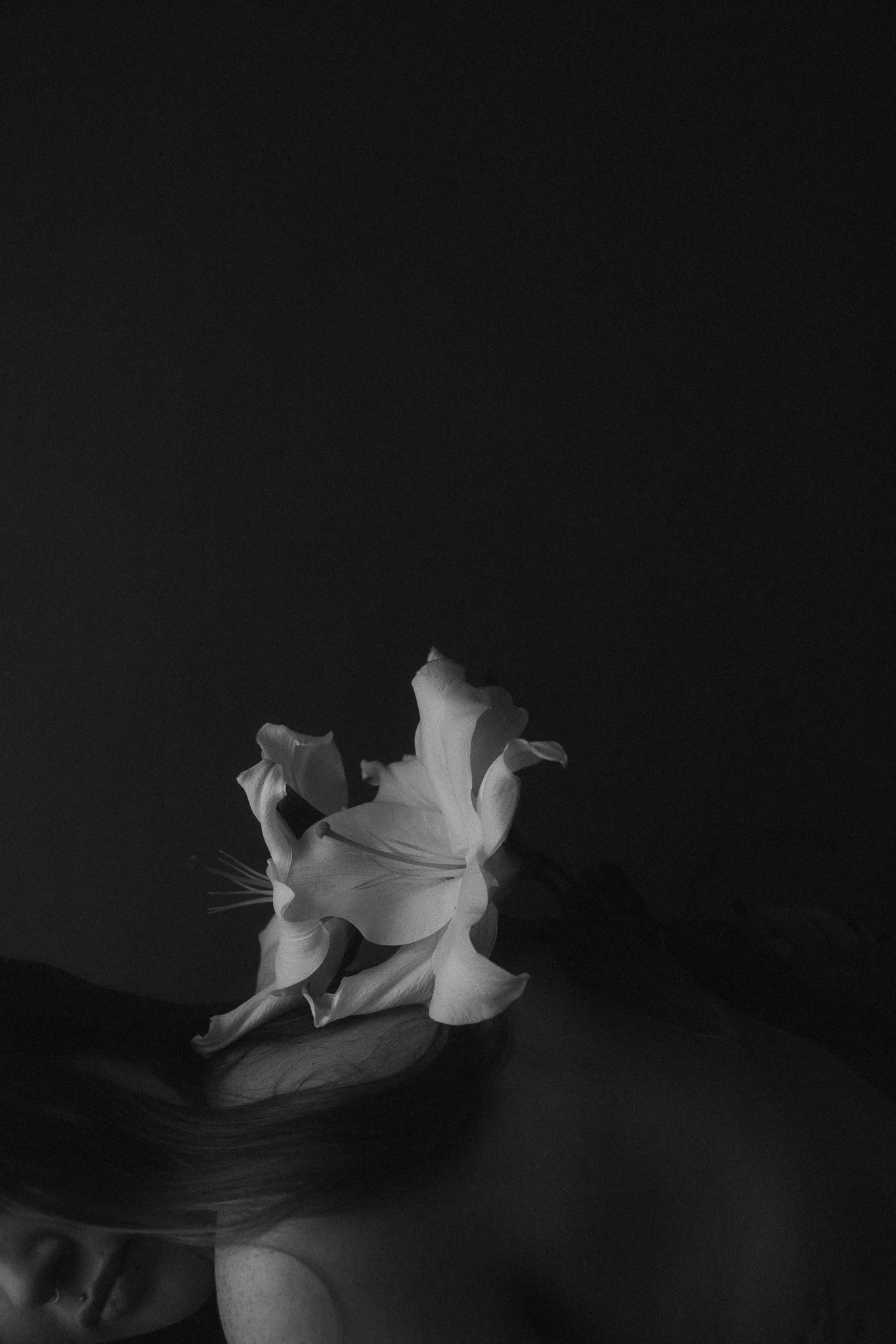 DSC07906-2.jpg