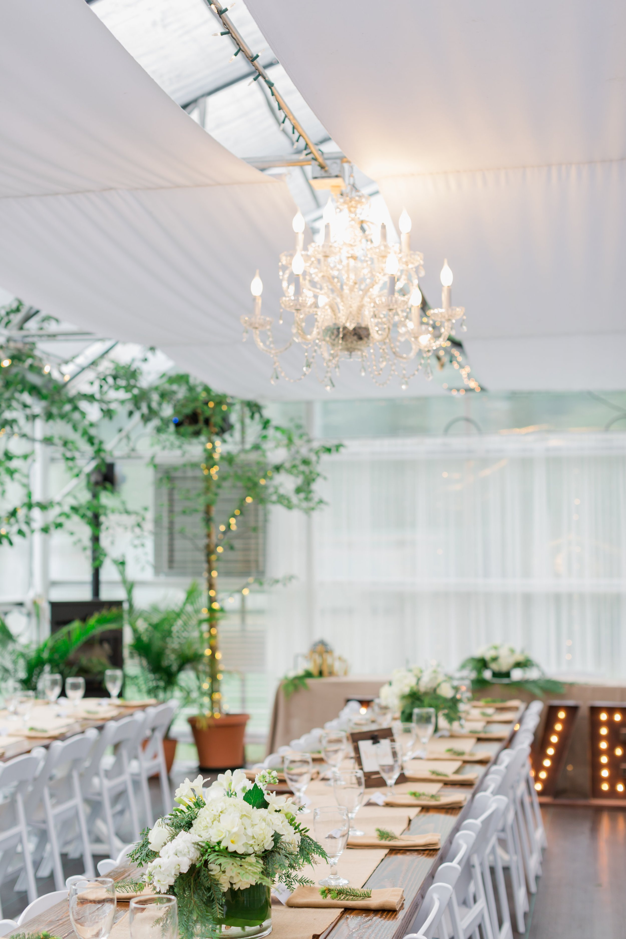  A table is set for a wedding reception in a green house. White fabric is draping the walls and ceiling. 