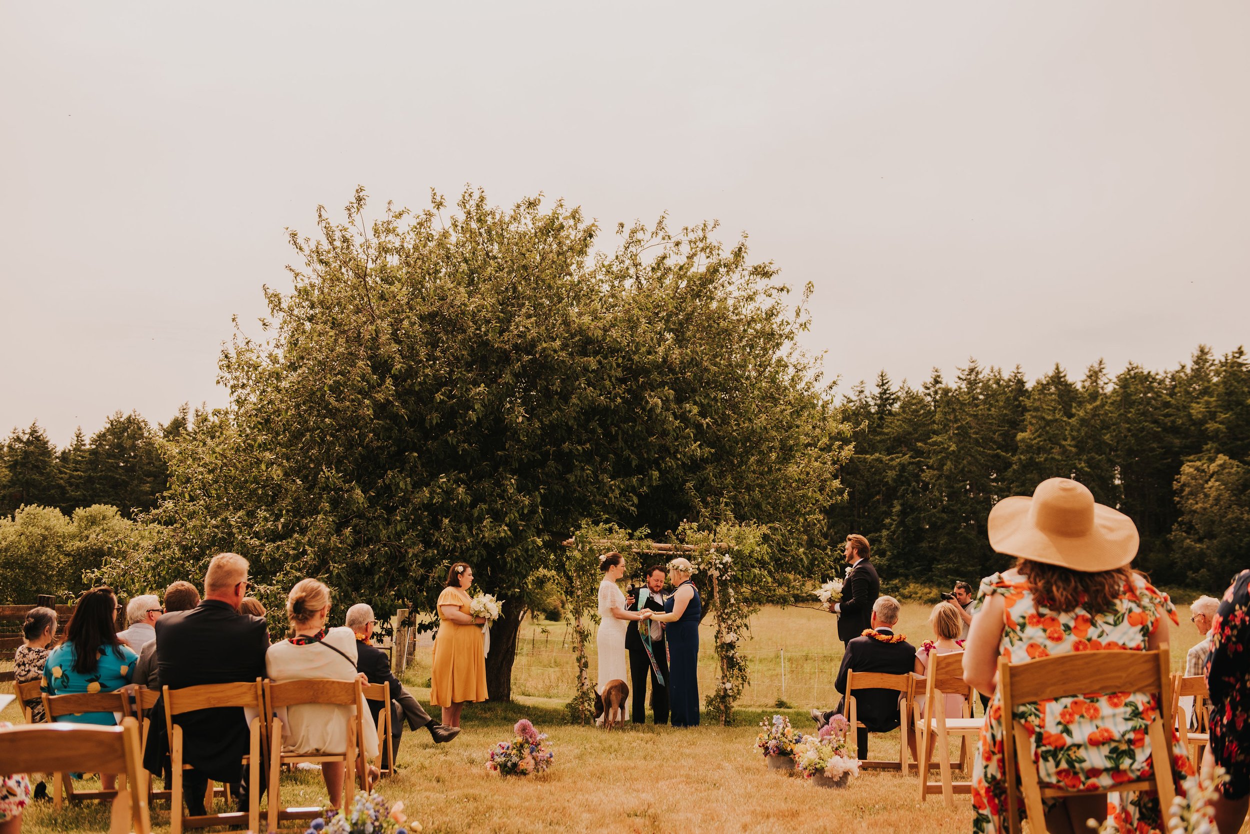  Two brides hold hands during their wedding ceremony. You can see guests seated on either side of the aisle. There is a large tree behind them and to the left. 