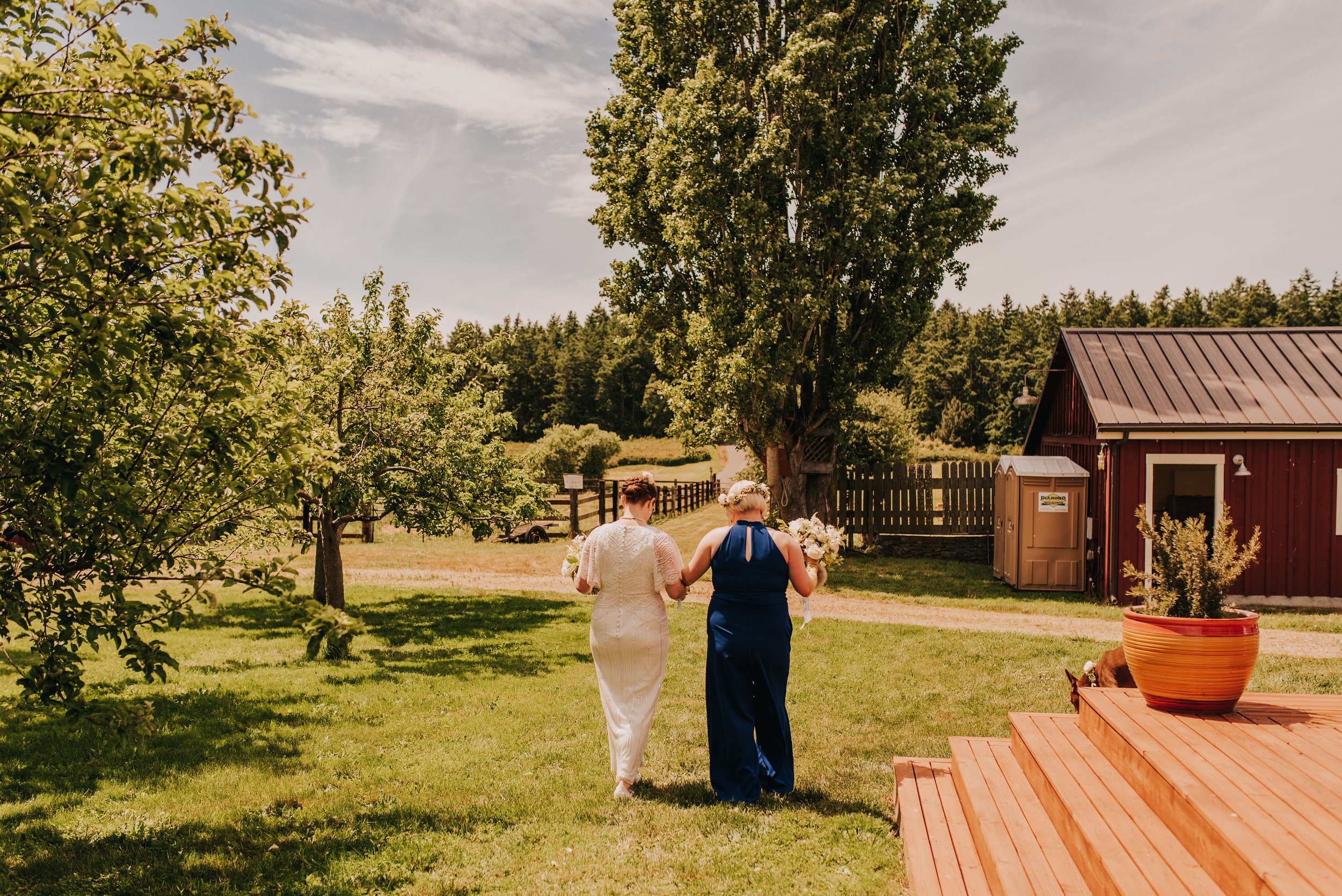  Two brides are walking away from the camera. There are trees and a red barn in the background. 