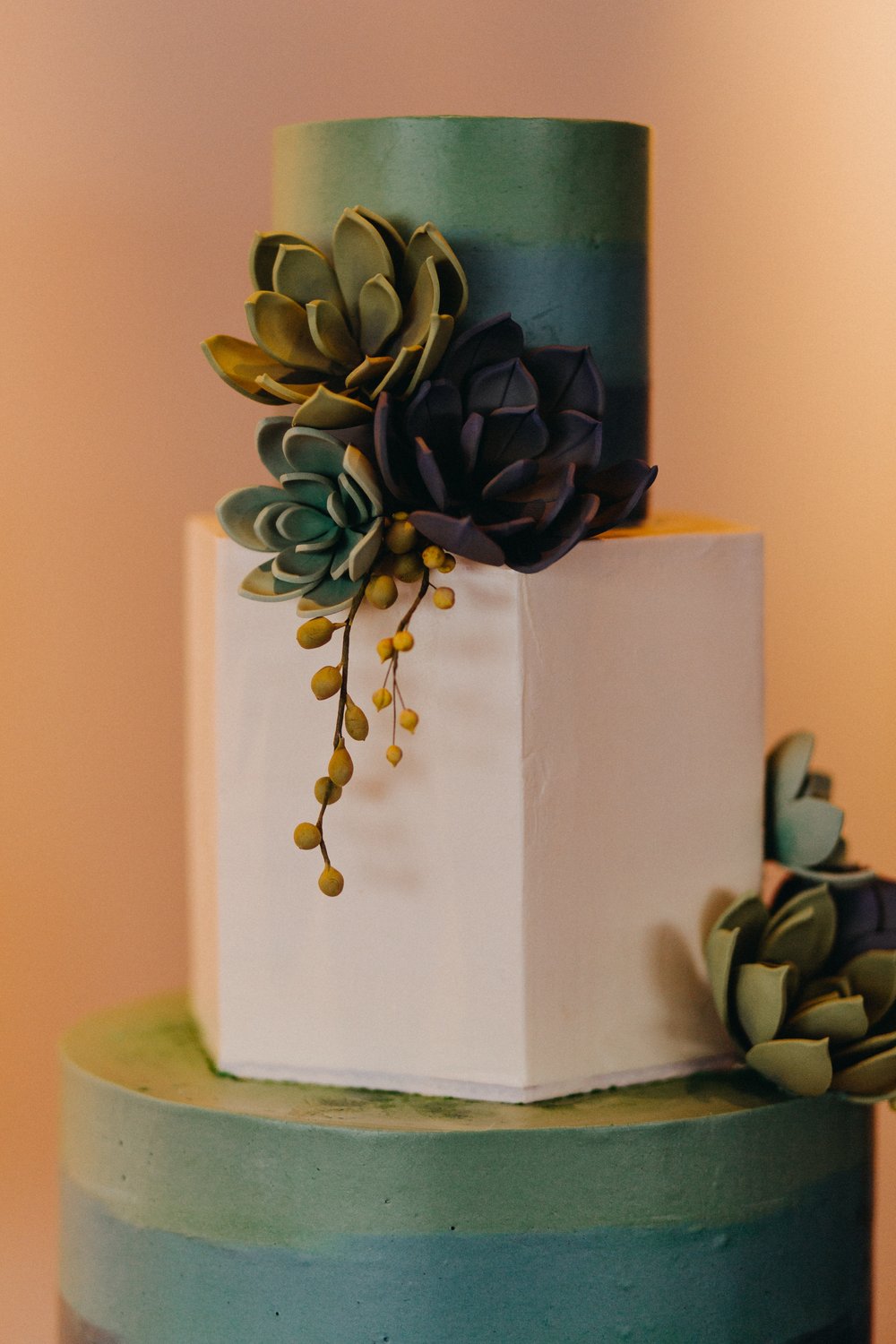 A three tier cake with a hexagonal middle tier. The cake is decorated with blur and green frosting and hand sculpted sugar succulents. 