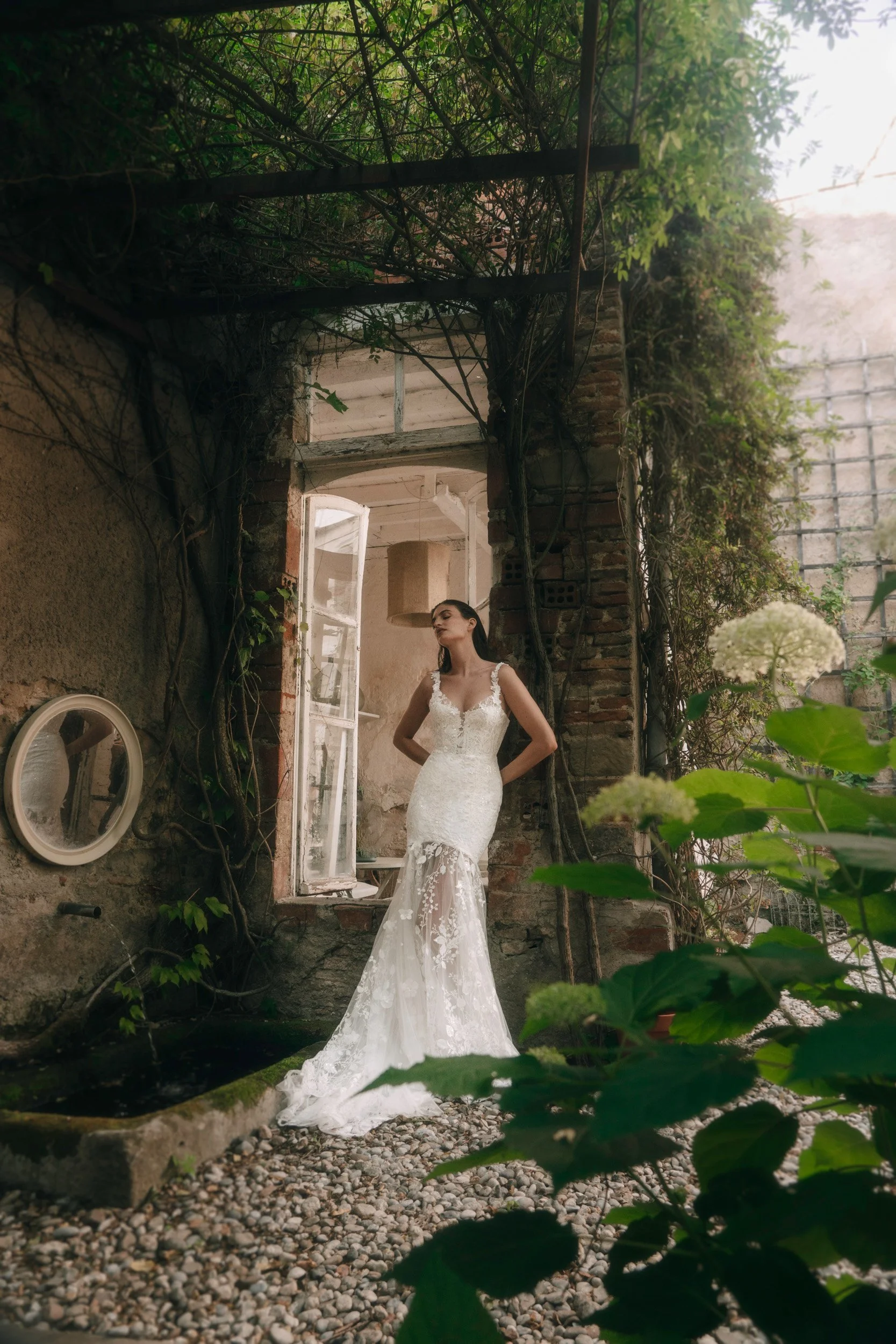 Achillea front 1  copy 2.jpeg