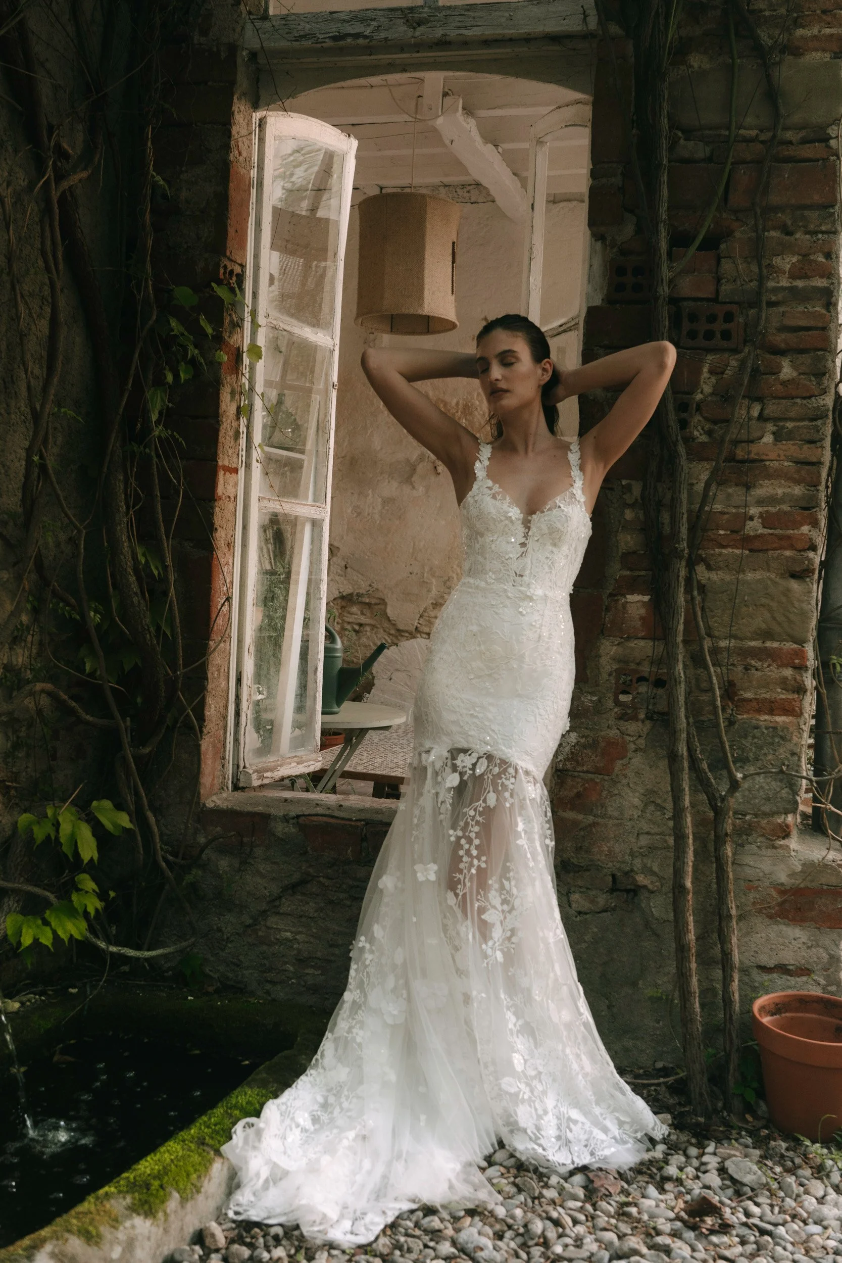 Achillea front 1 .jpeg