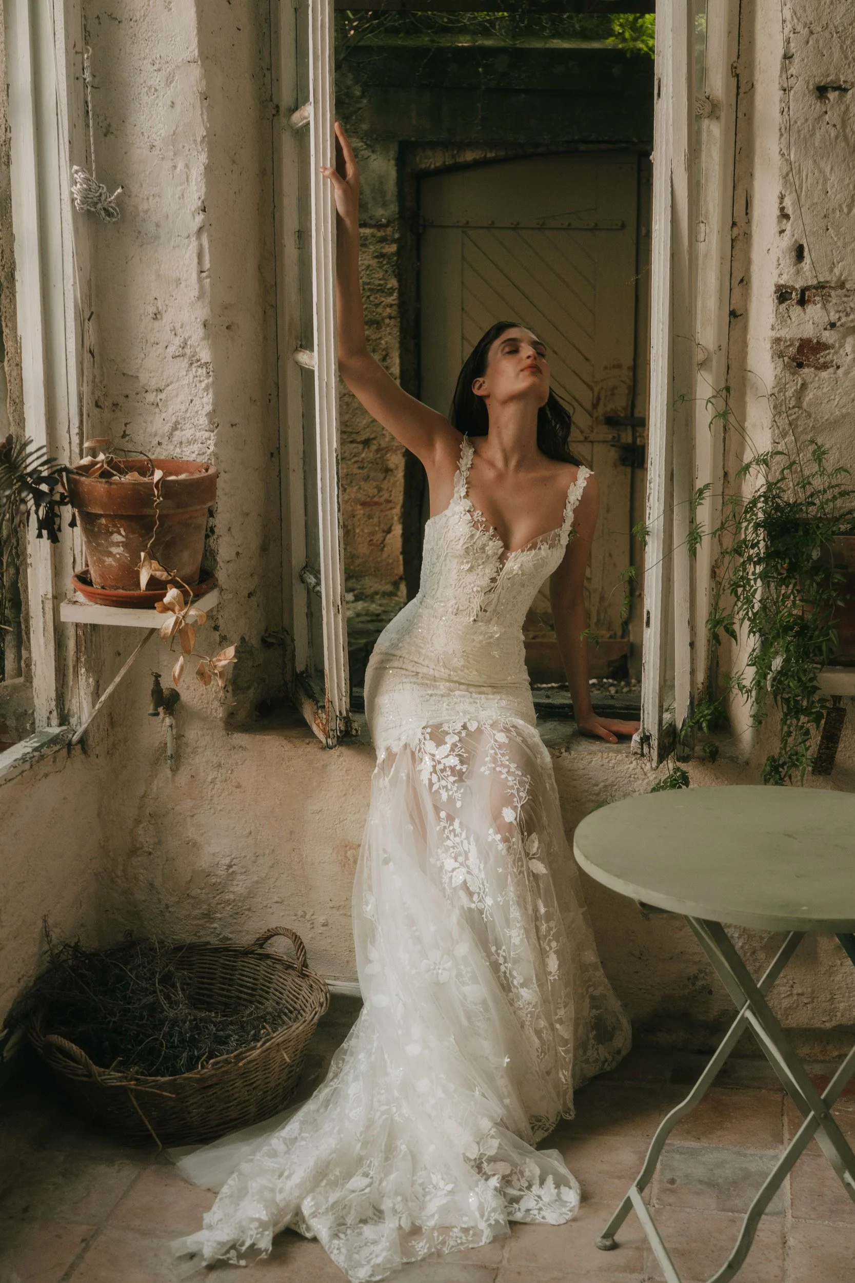 Achillea front 11.jpeg