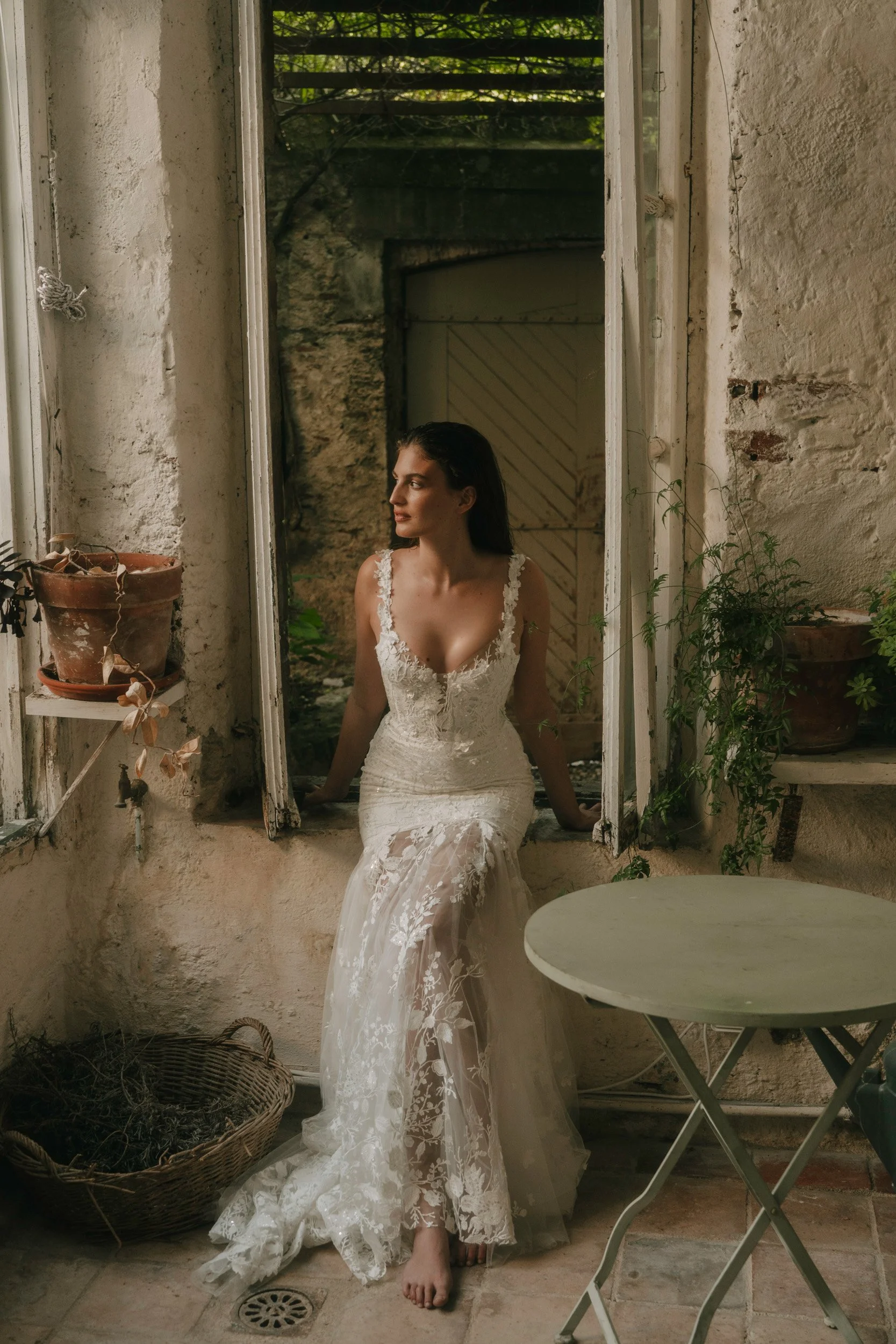 Achillea front 22.jpeg