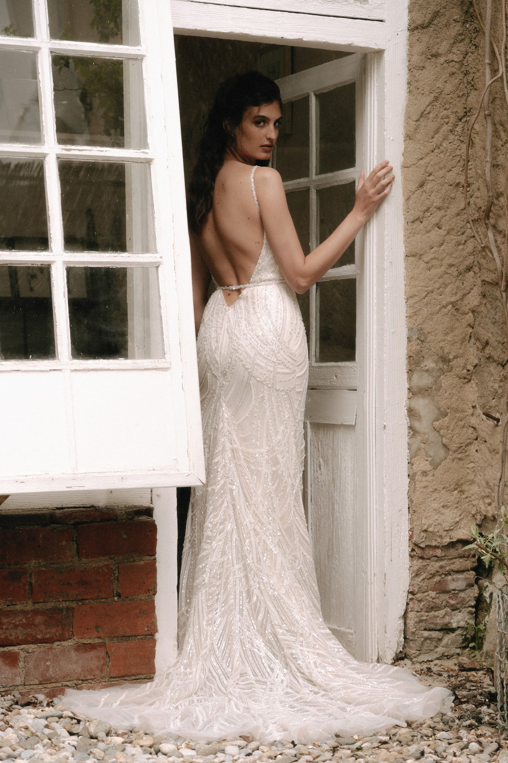 Silene back jpg.jpeg