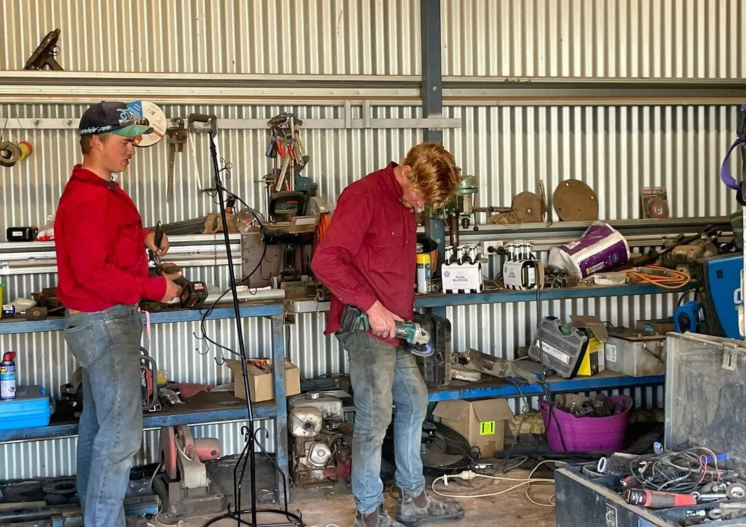 The men hard at work today, lamb proofing yards ahead of our lamb marking venture in a weeks time! #fatlamb #pureblonde

#compositeewelamb #compositesheep 
#rolfeagriculture #sheepfarming #lambs 
#farmingonthemonaro #monaroplains #snowymountains #lov
