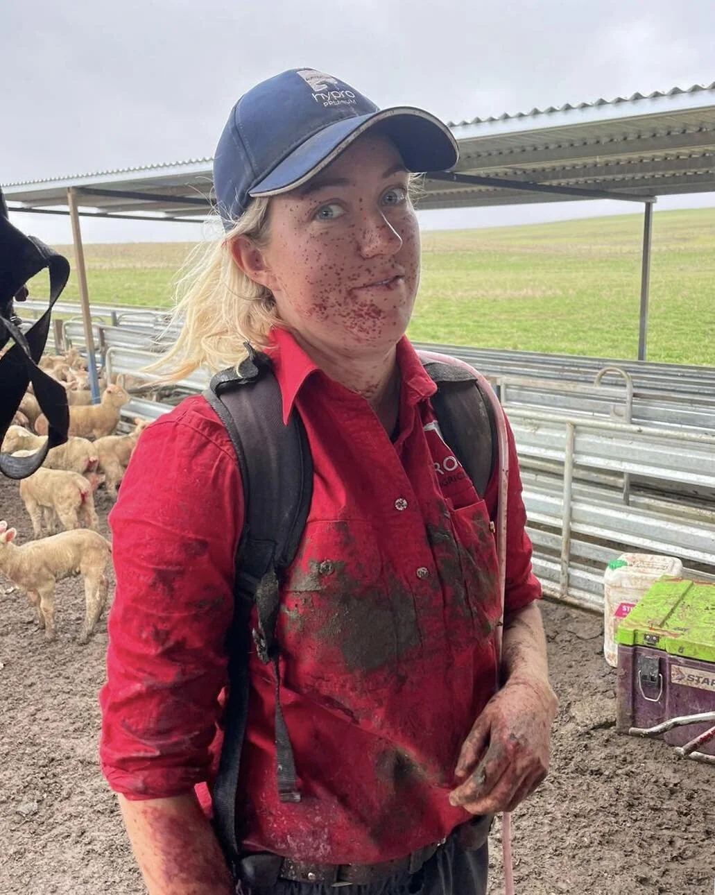Happiest birthday to our 2IC Pip 🎉🎈🎂
Hope you have a bloody (see what I did there) good day lamb marking.