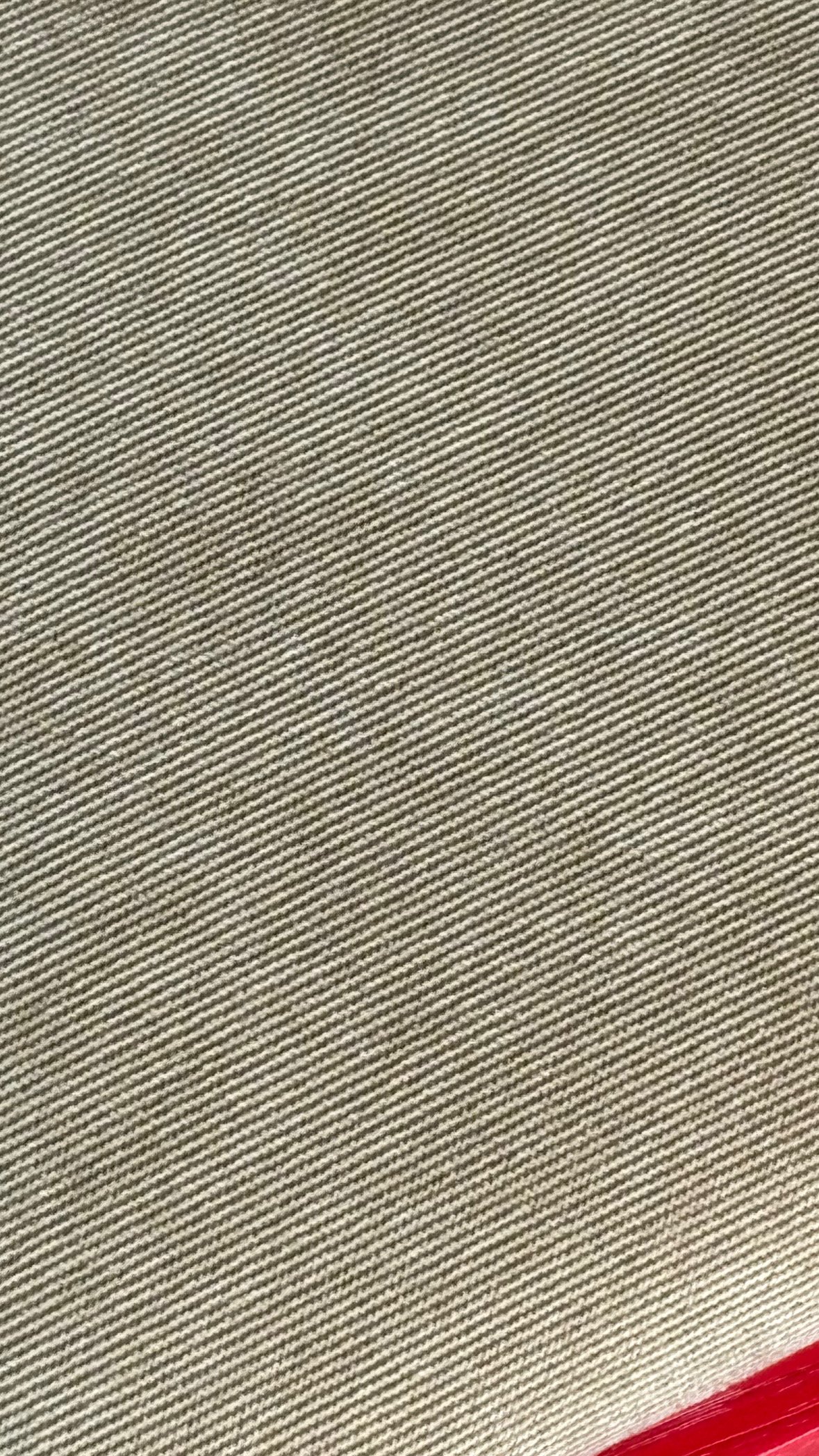 E653D301-BA93-411A-83CA-DC141125ADDE.jpeg