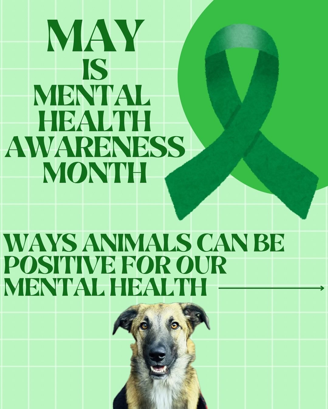 May is Mental Health Awareness Month! 💚