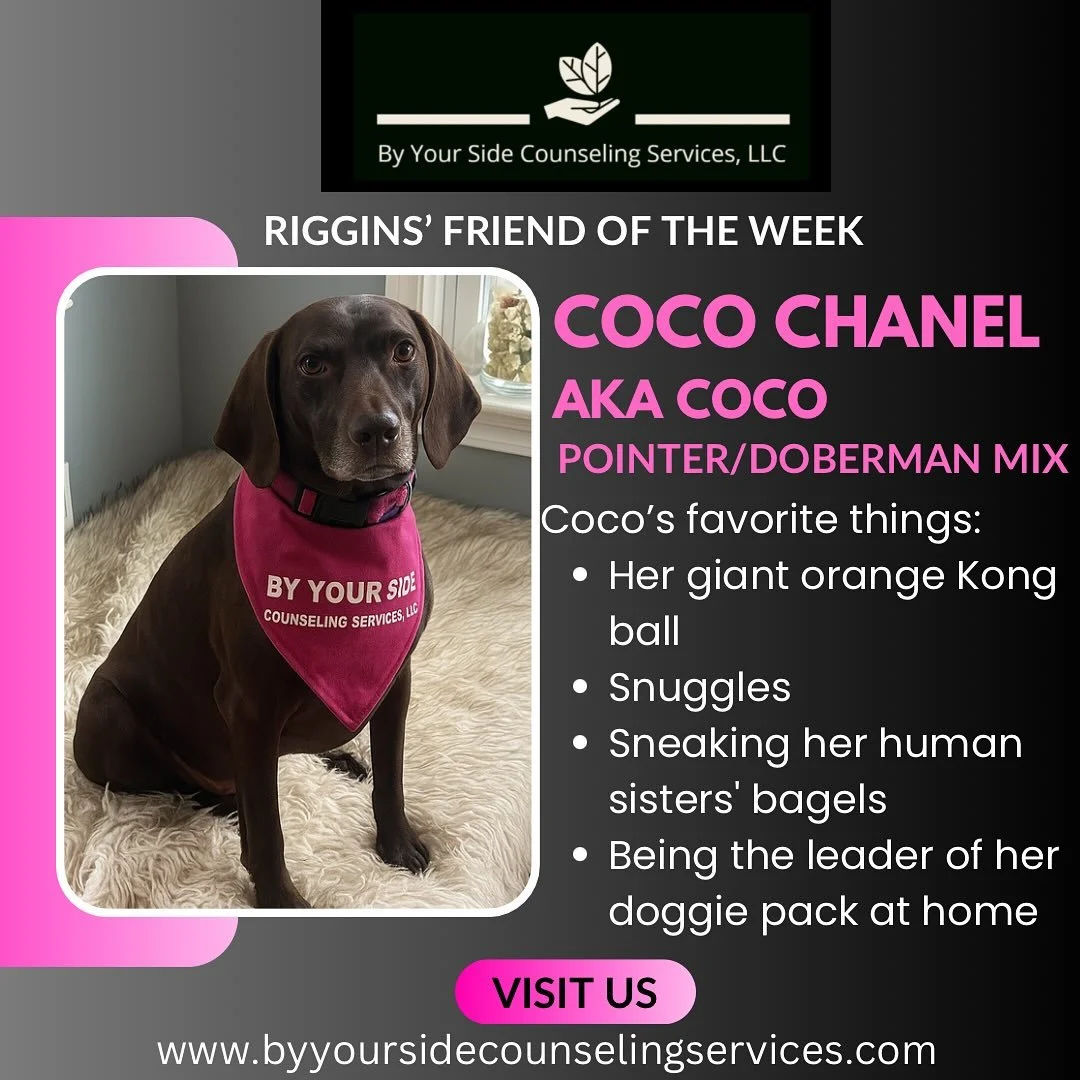 Meet Riggins&rsquo; friend of the week, Coco! 🩷