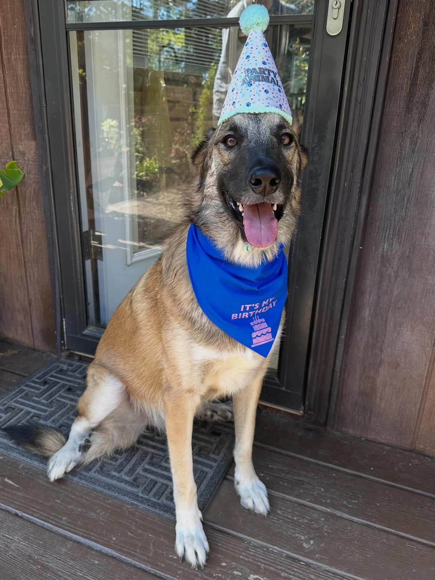 Happy 2nd birthday to BigRig! 🎉