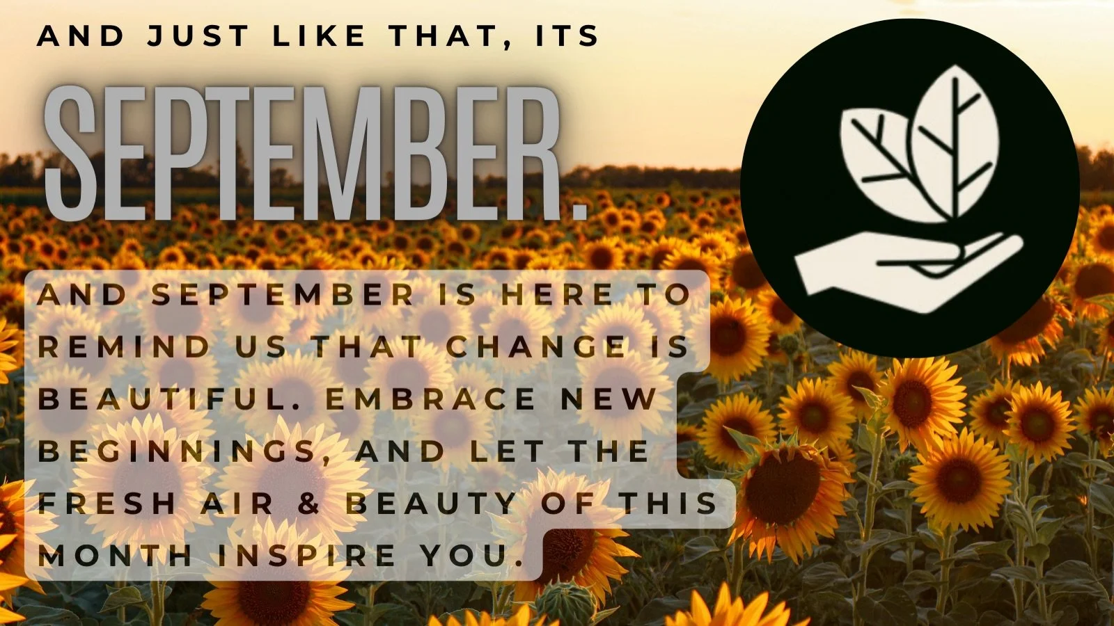 Happy first day of the &ldquo;ber&rdquo; months! We wish you lots of cool mornings, being able to finish your coffee while it&rsquo;s still hot, and getting to enjoy the small moments each day. 

https://www.byyoursidecounselingservices.com