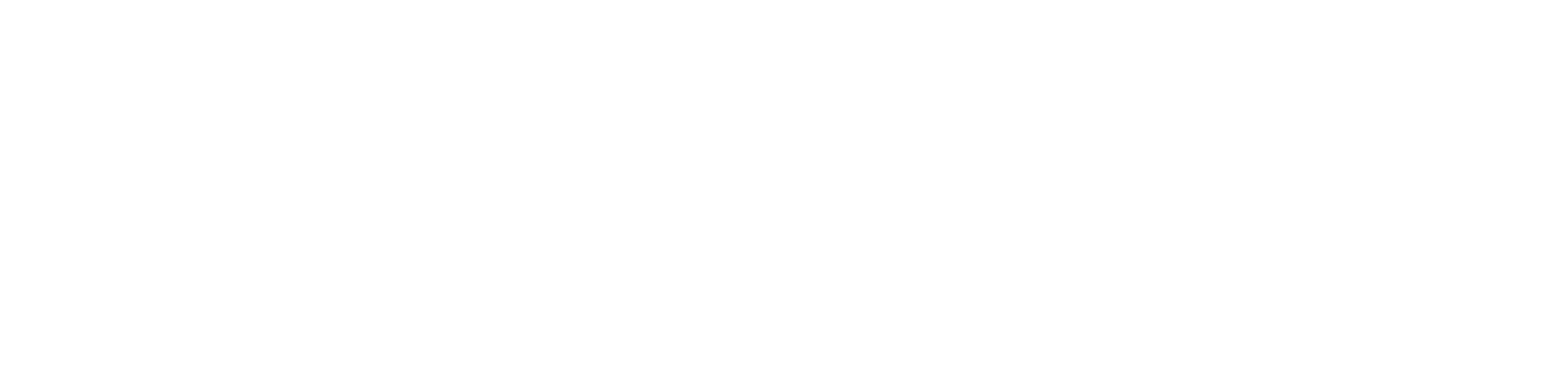 hoonigan-logo-01.png