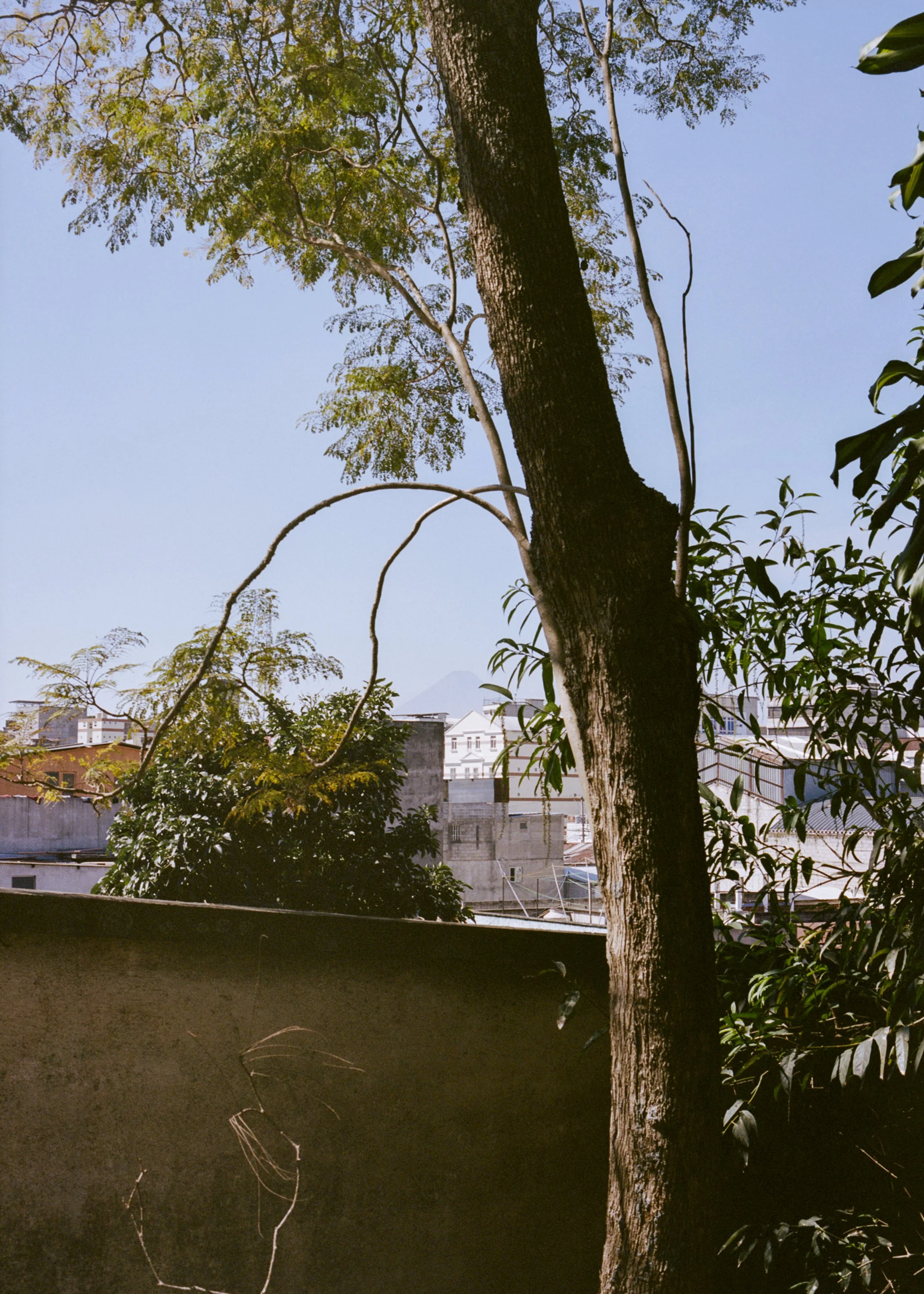 ALTAMIRANO_ANDRES_VIAJE_A_LOS_AMULETOS-6.jpg