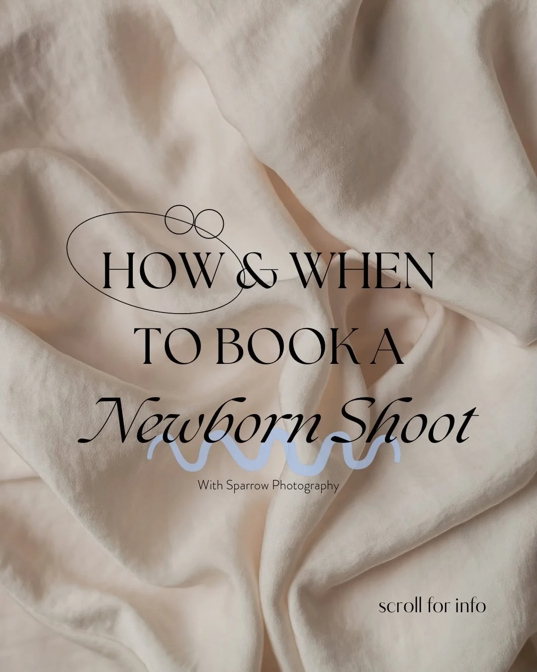 Are you wanting a newborn session with Sparrow Photography? 

Do you have a family member or friend who is pregnant and may want this special time documented?! Share this information with them 📥  I would be forever grateful! 

I have had a wonderful