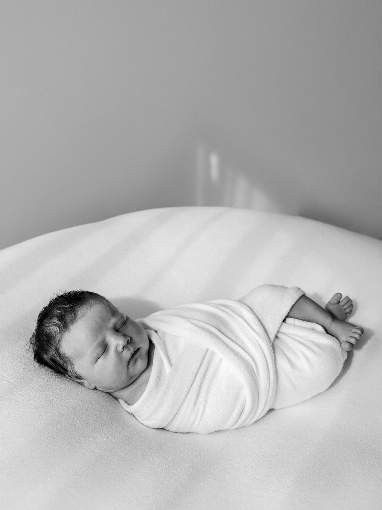 A little morning light lay for Austin ☀️ he was happy about it too 🤍