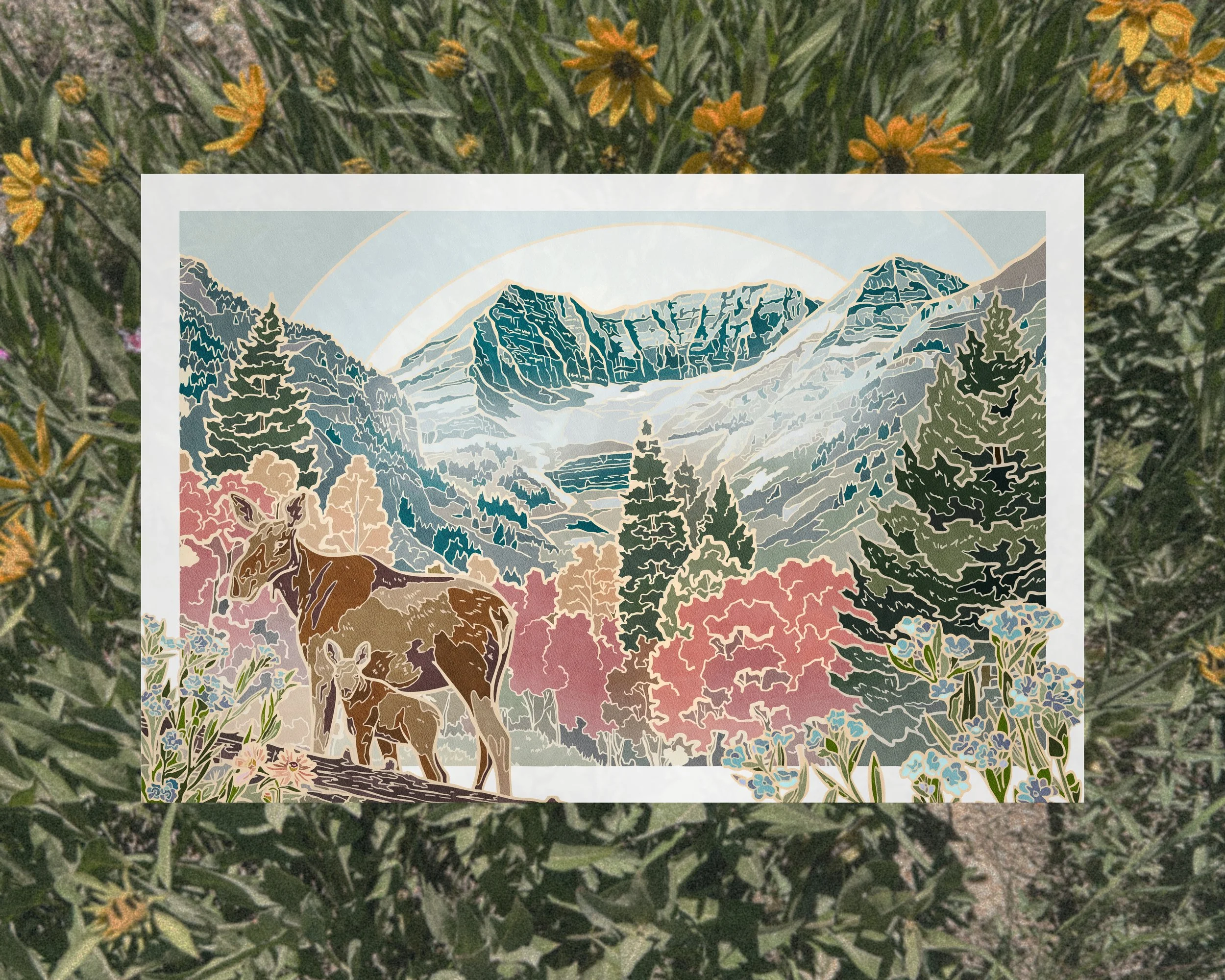 Wasatch.jpg