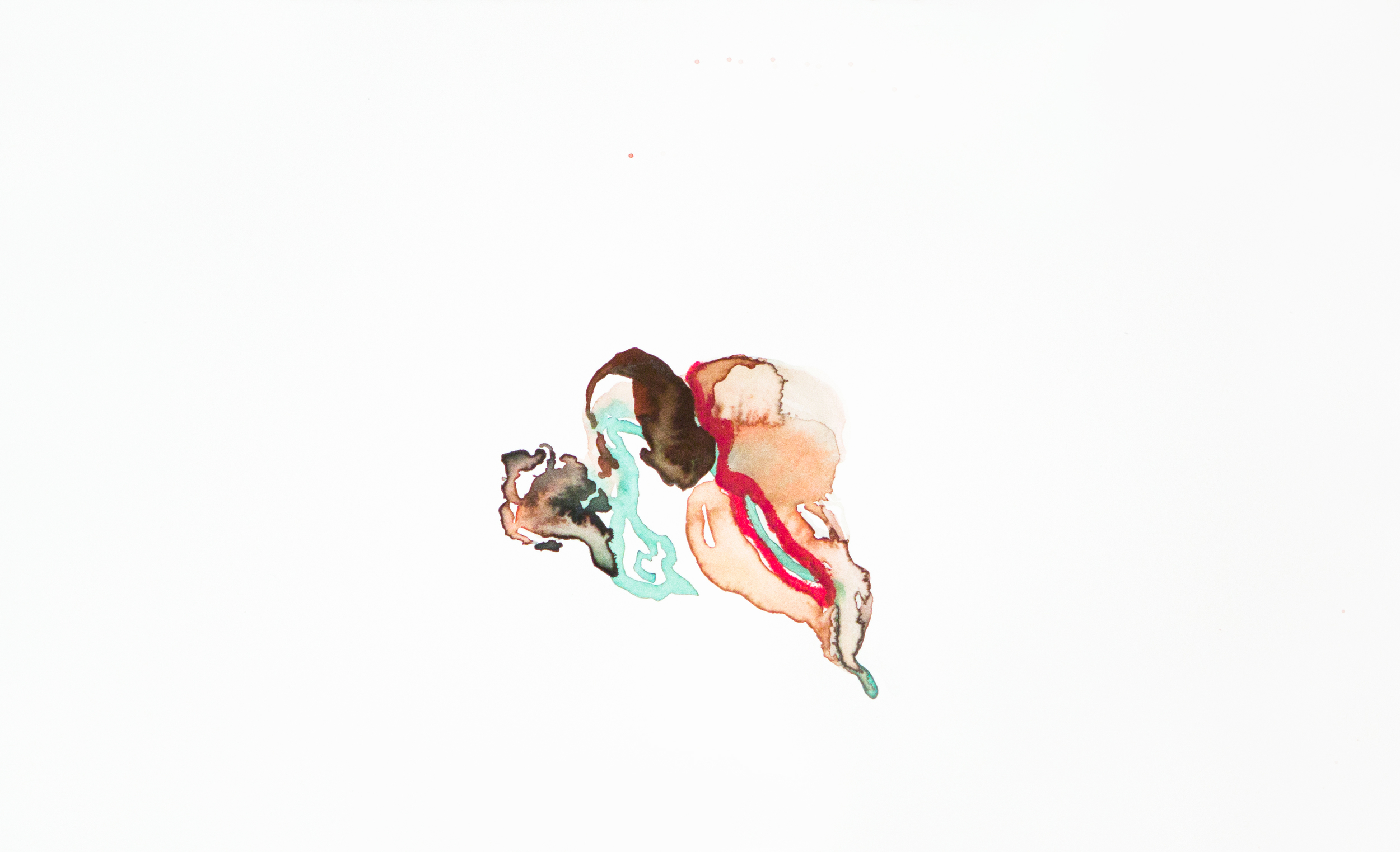 Scrota #25