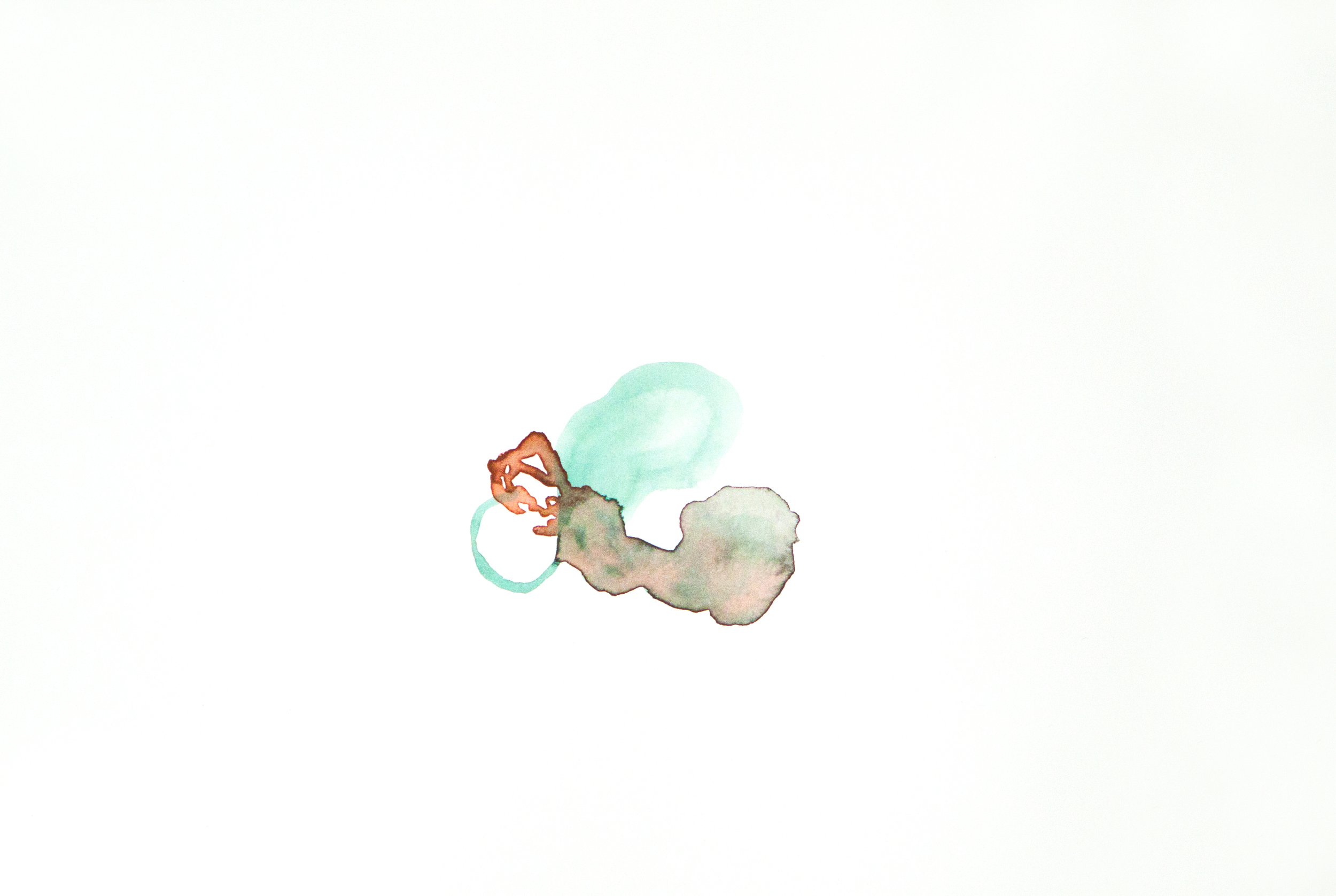 Scrota #7