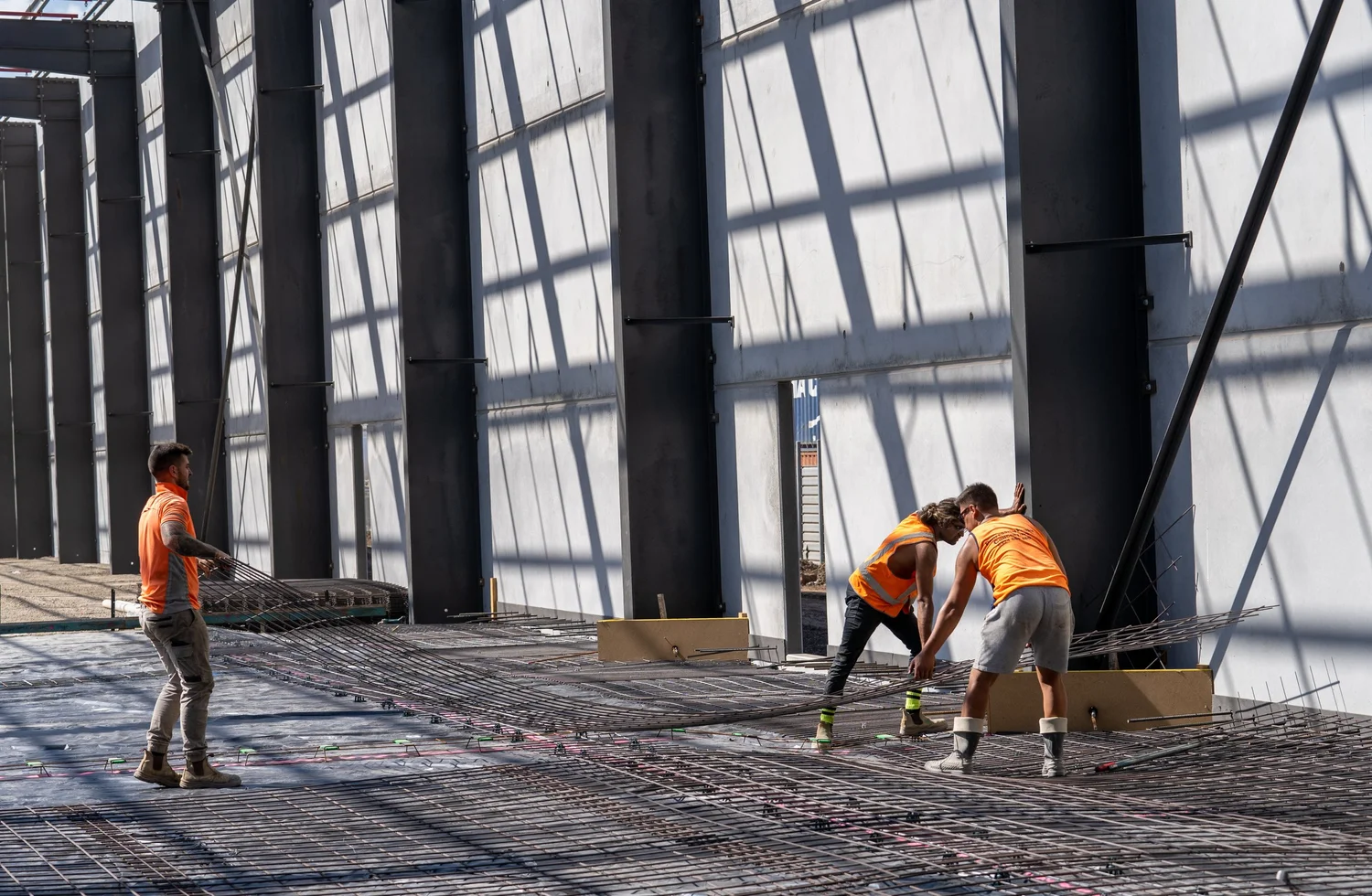 CAPABILITIES — ARK INDUSTRIAL