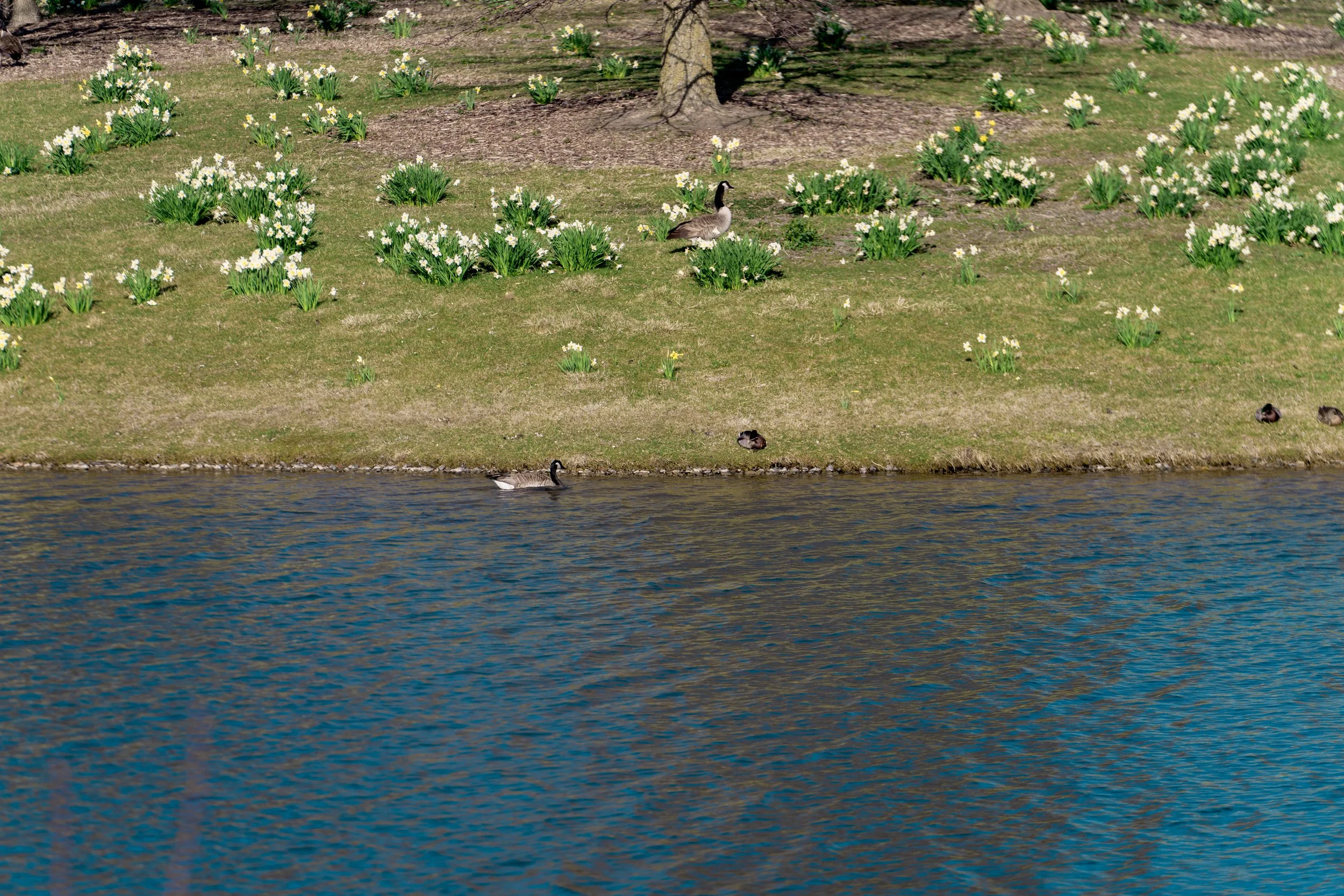 DSC09789.jpg