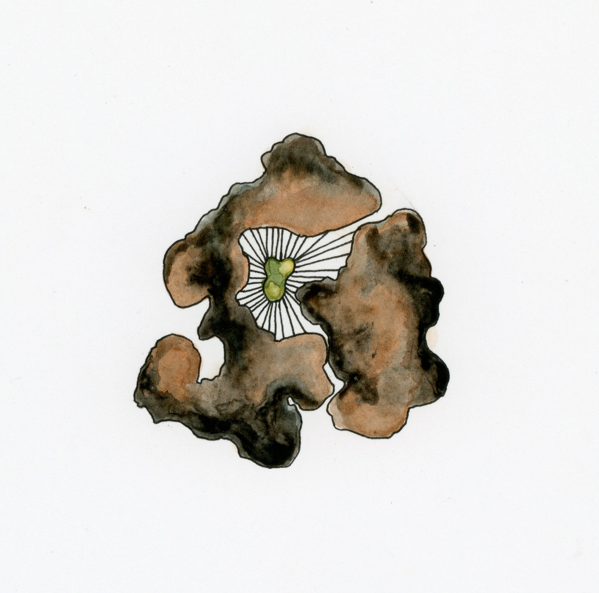 earth watercolor.jpg