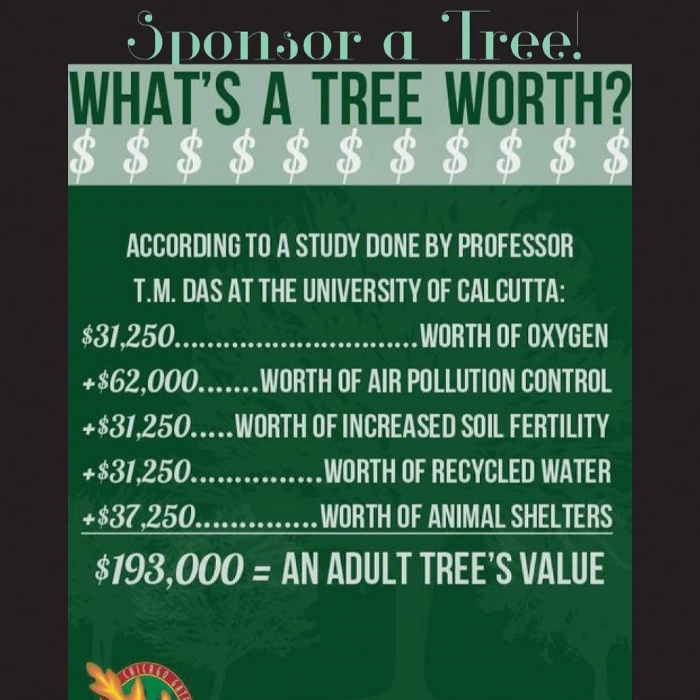 We have planted over 15,00 trees and food bearing forbes for wildlife and our carbon mitigation project. DO THE MATH.

NO ONE FASHION WEEK OR SERIES COMES ANYWHERE NEAR AS CLOSE, OR PROBABLY EVER WILL.

Paying for a neutral carbon rating is for the l