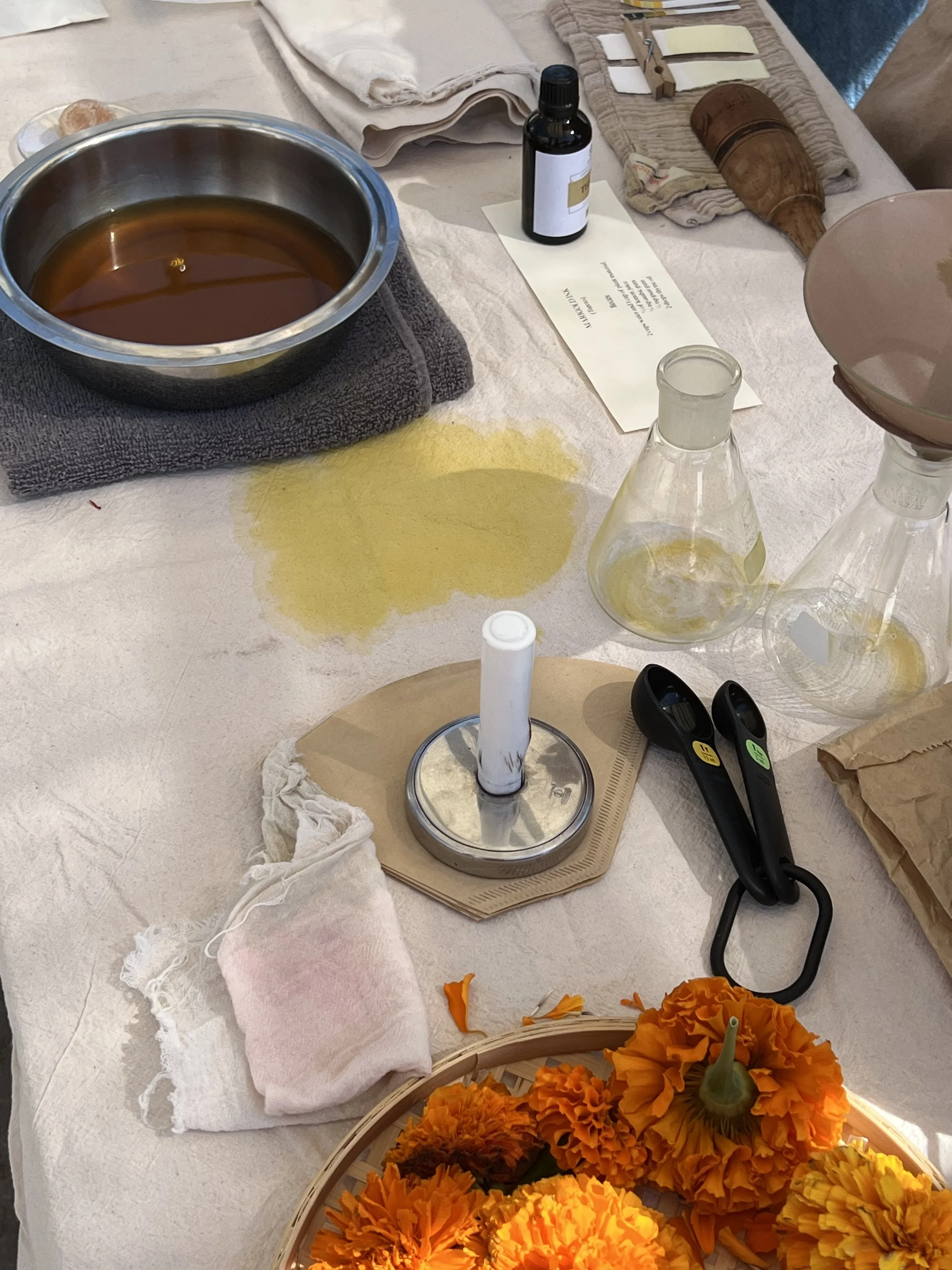 Glitter Gladiool_Greta Facchinato (2).jpeg