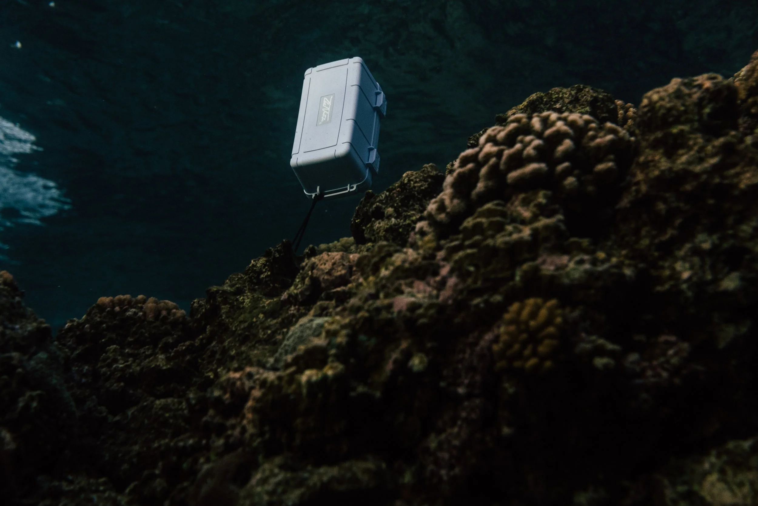 A waterproof case hangs above underwater coral reefs.