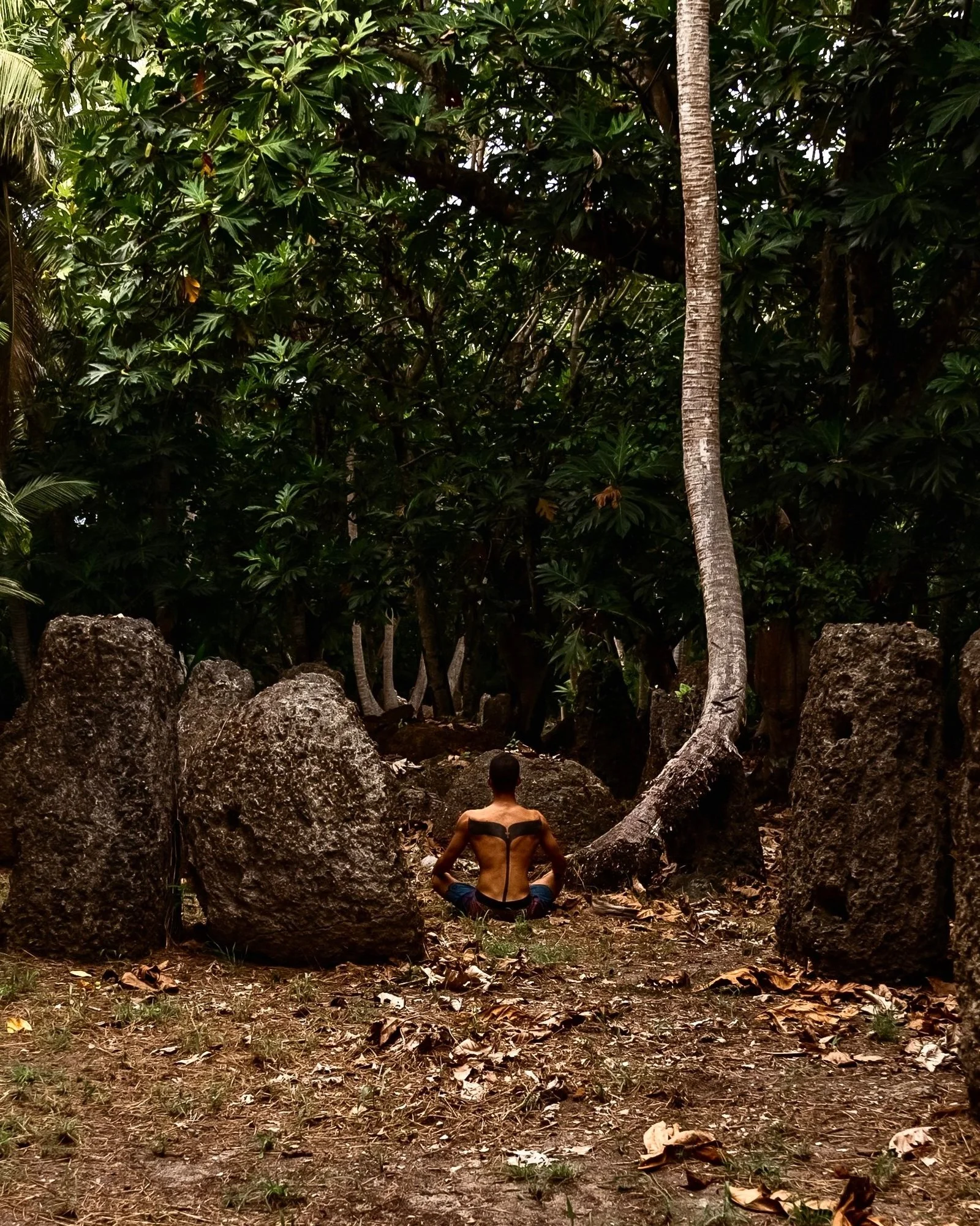 A person practicing meditation or yoga in a forest surrounded by large rocks and lush green trees.