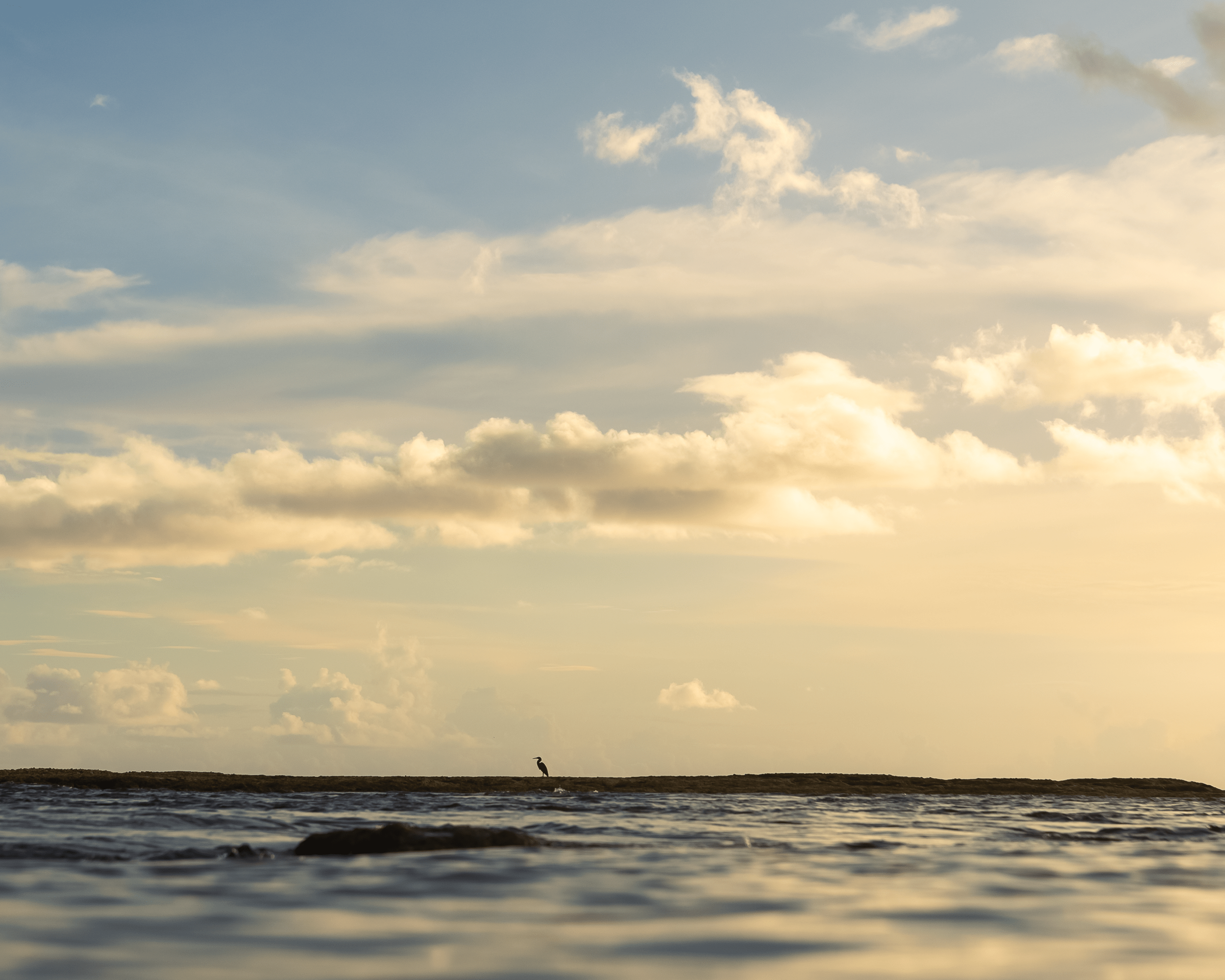 Sunset over the ocean with a lone bird on the horizon and fluffy clouds in the sky.