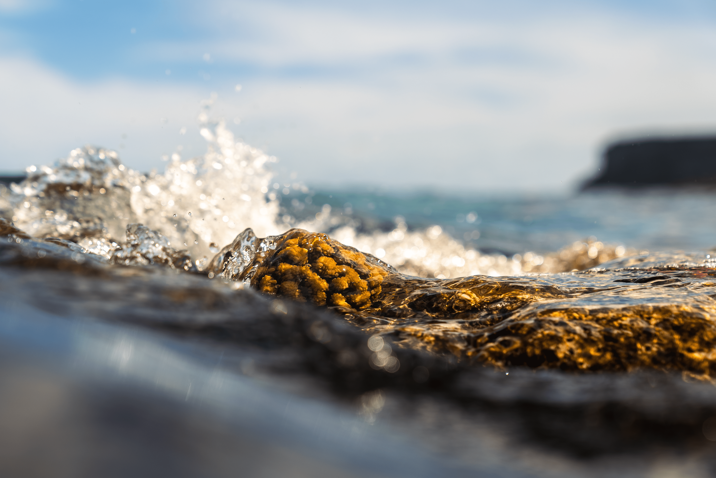 Close-up of rocks and coral on the shoreline with waves splashing against them, ocean in the background, sunny day.