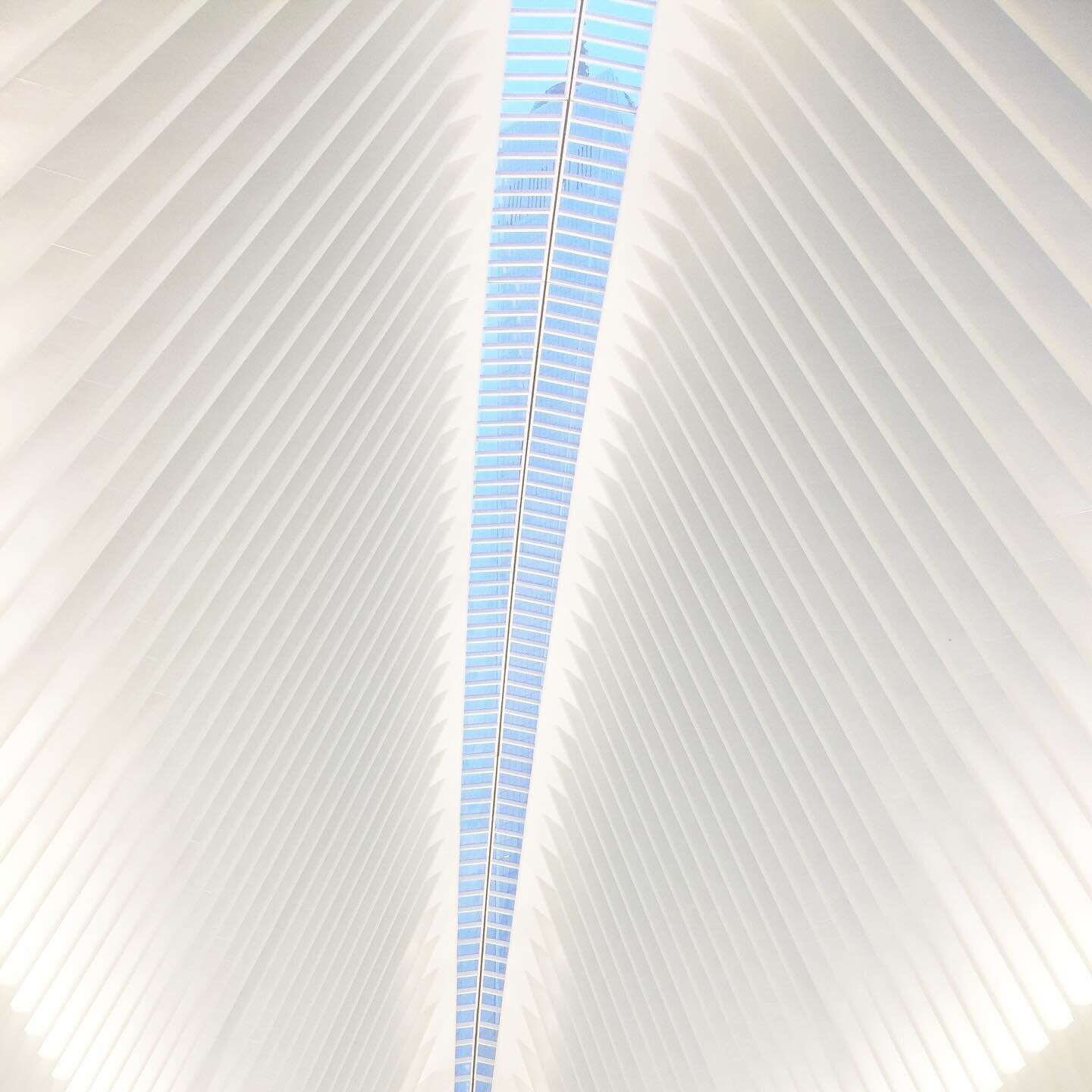 The Oculus in New York City.
#oculus #oculusnyc #oculusnewyorkcity #newyorkcity #usa