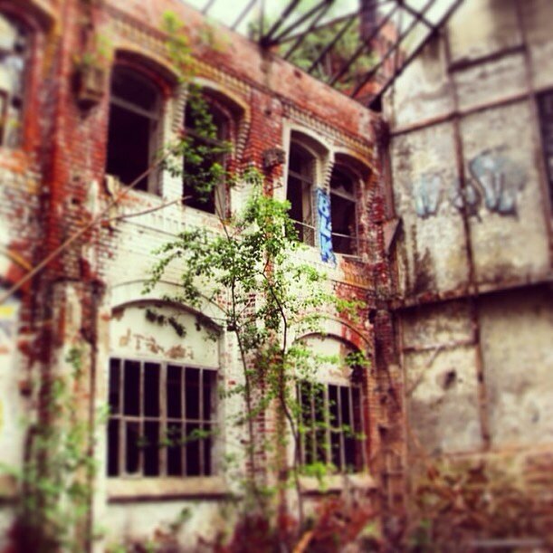 Ruins in Leipzig Paunsdorf, old factory #leipzig #leipzigpaunsdorf #factoryruins