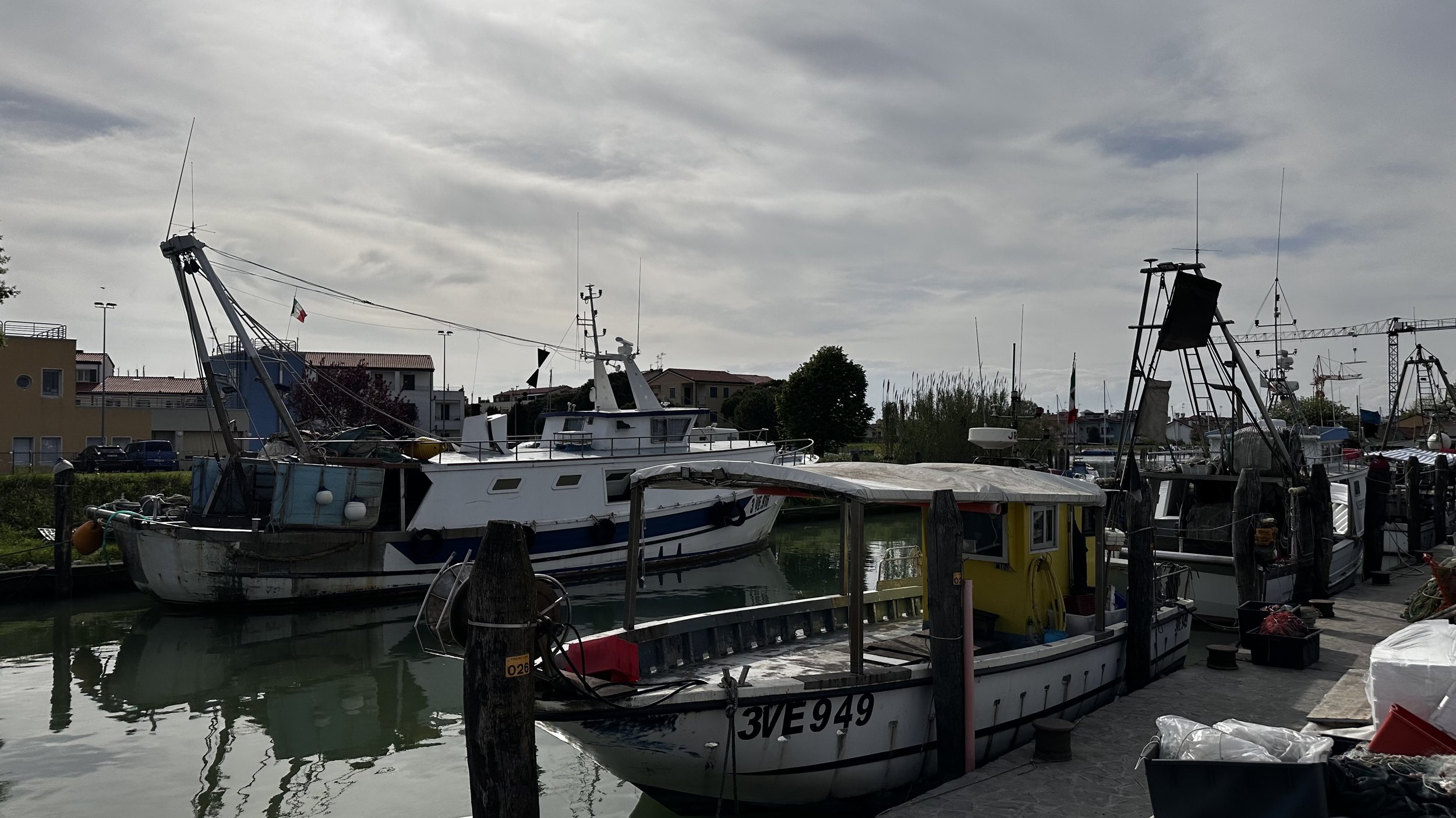 IMG_7694.jpeg