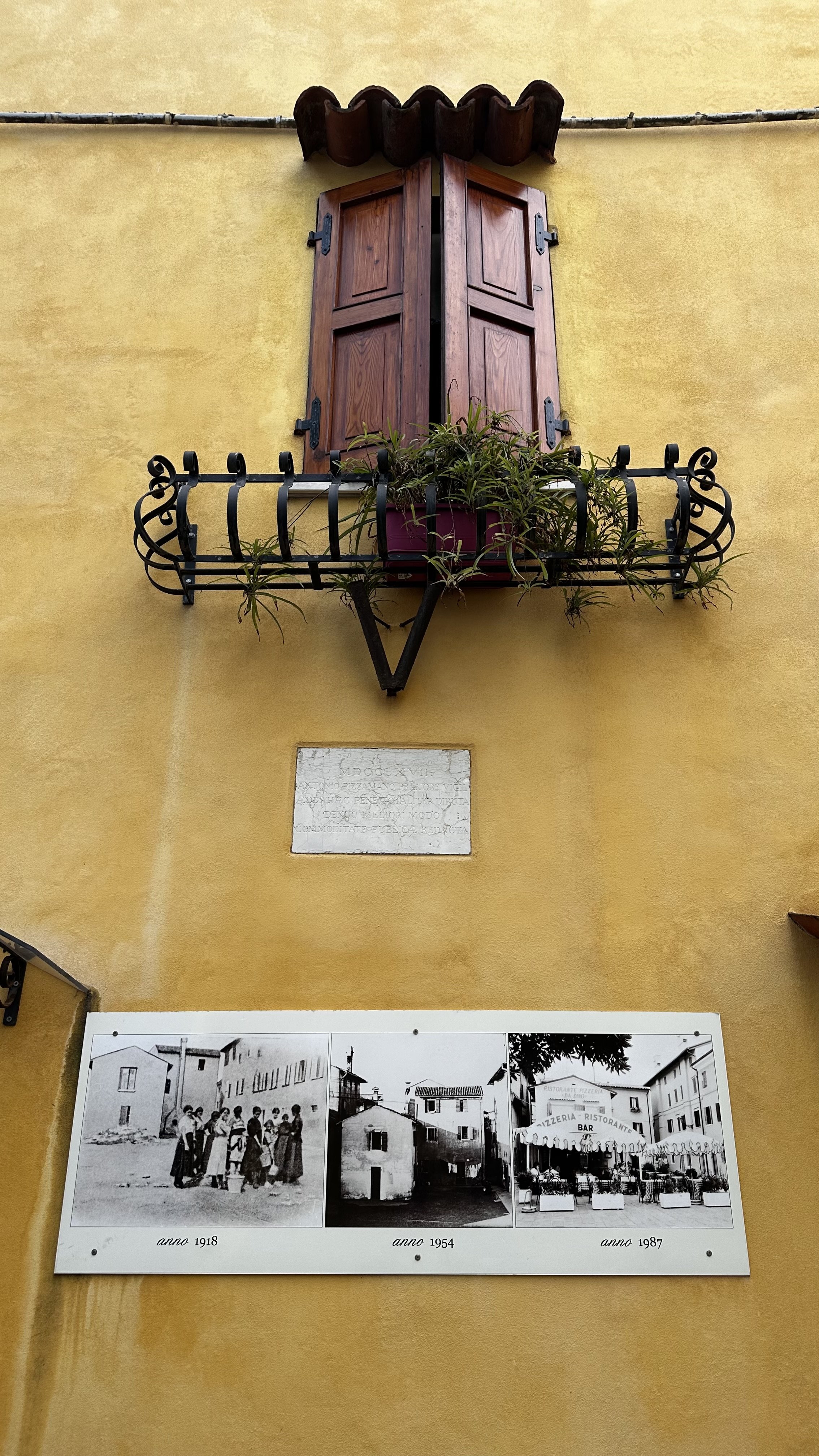 IMG_7654.jpeg