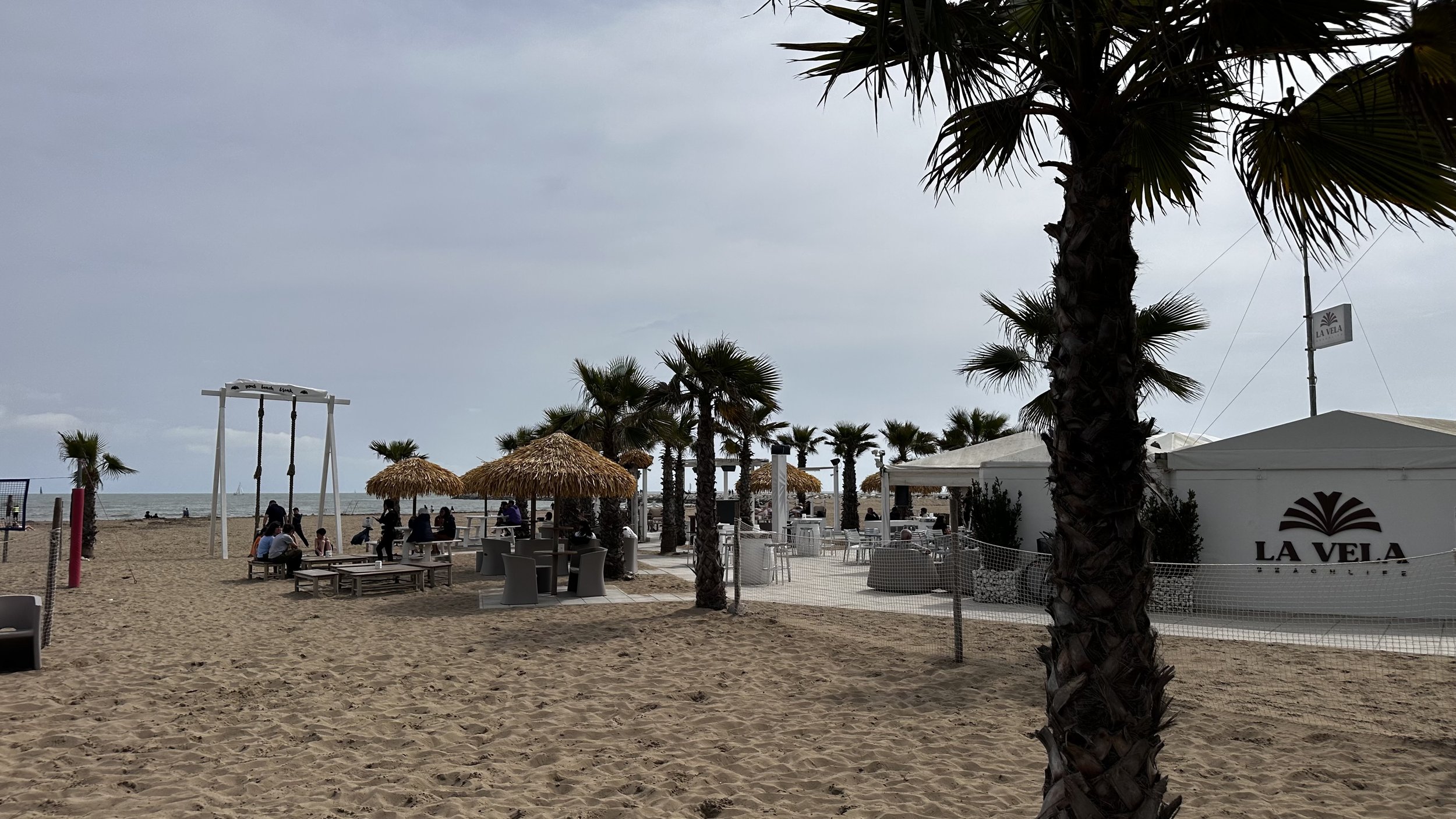 IMG_7664.jpeg