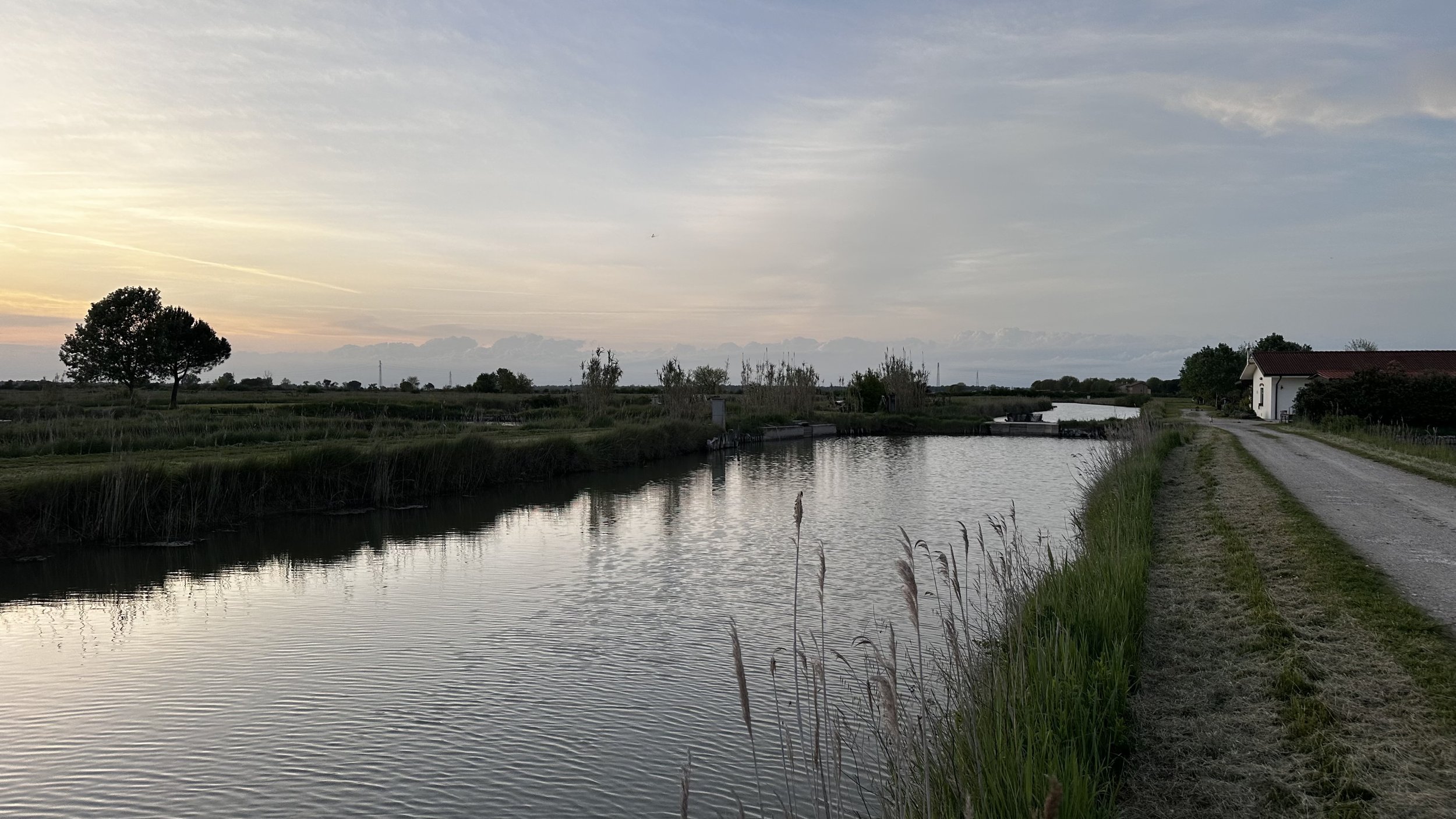 IMG_7731.jpeg