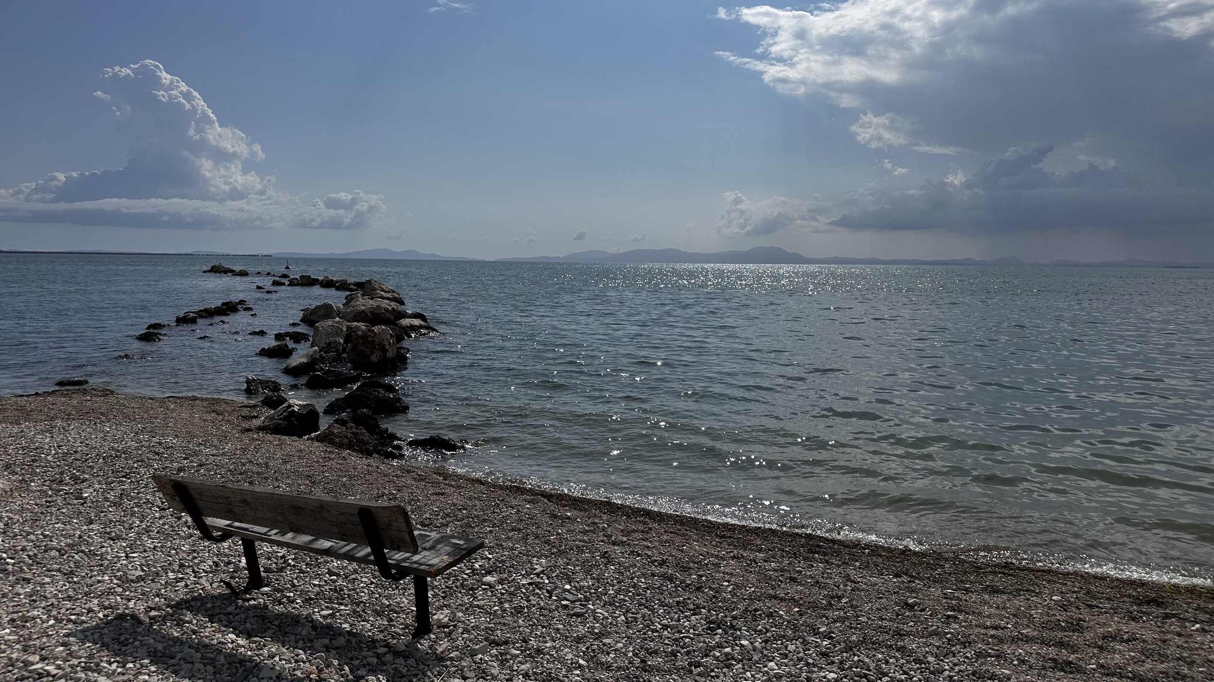 IMG_8100.jpeg