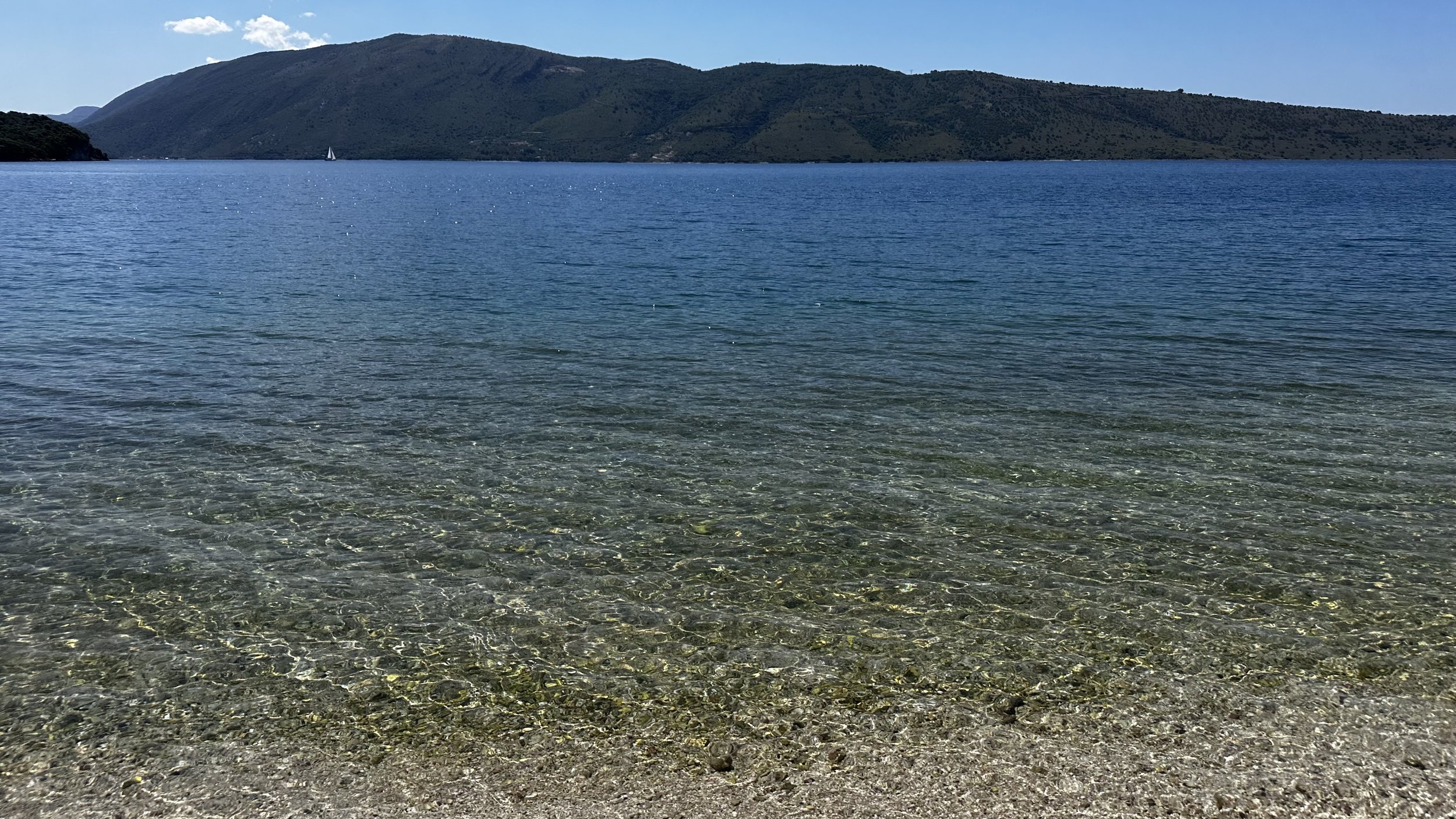 IMG_8262.jpeg