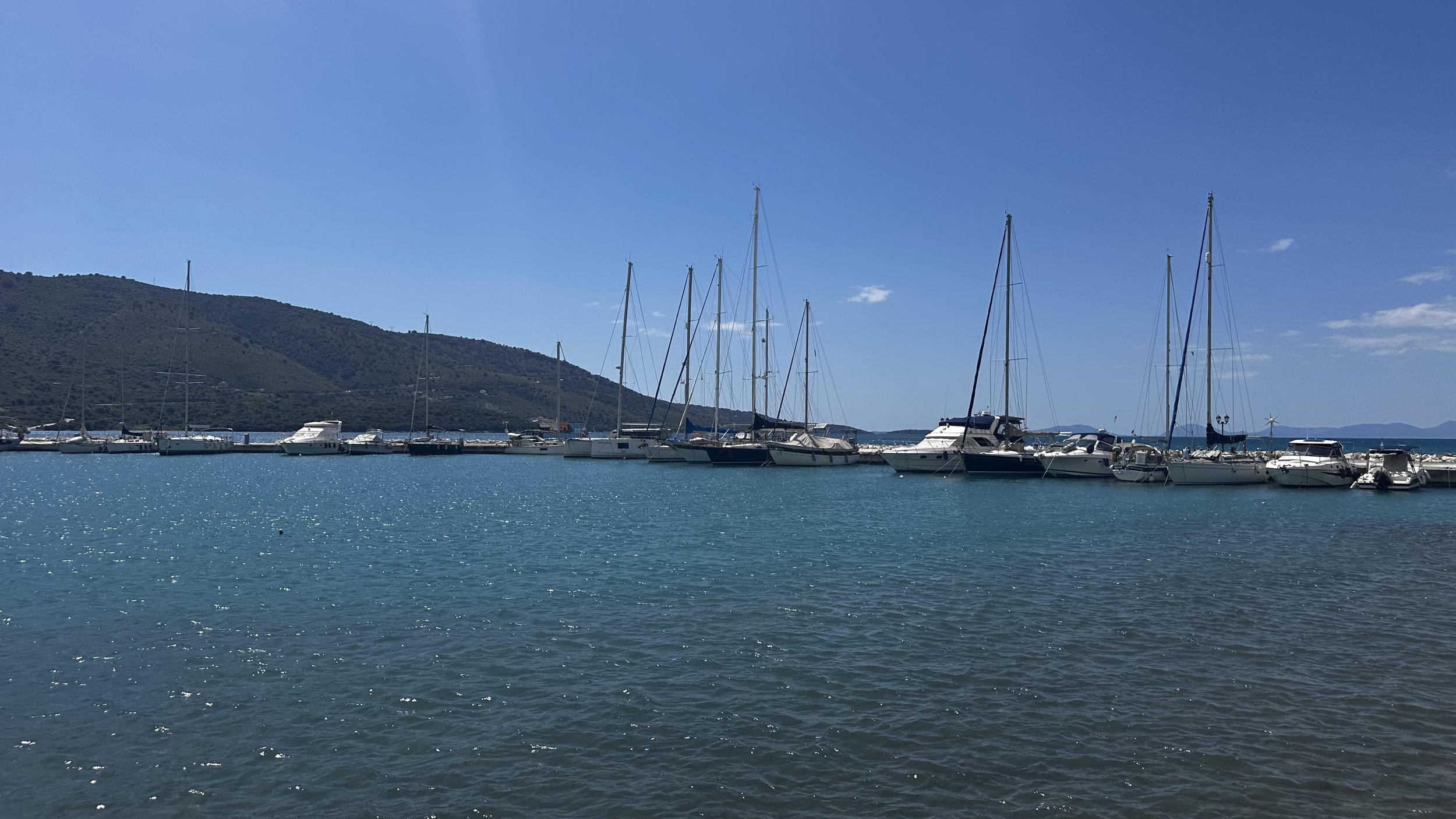 IMG_8281.jpeg