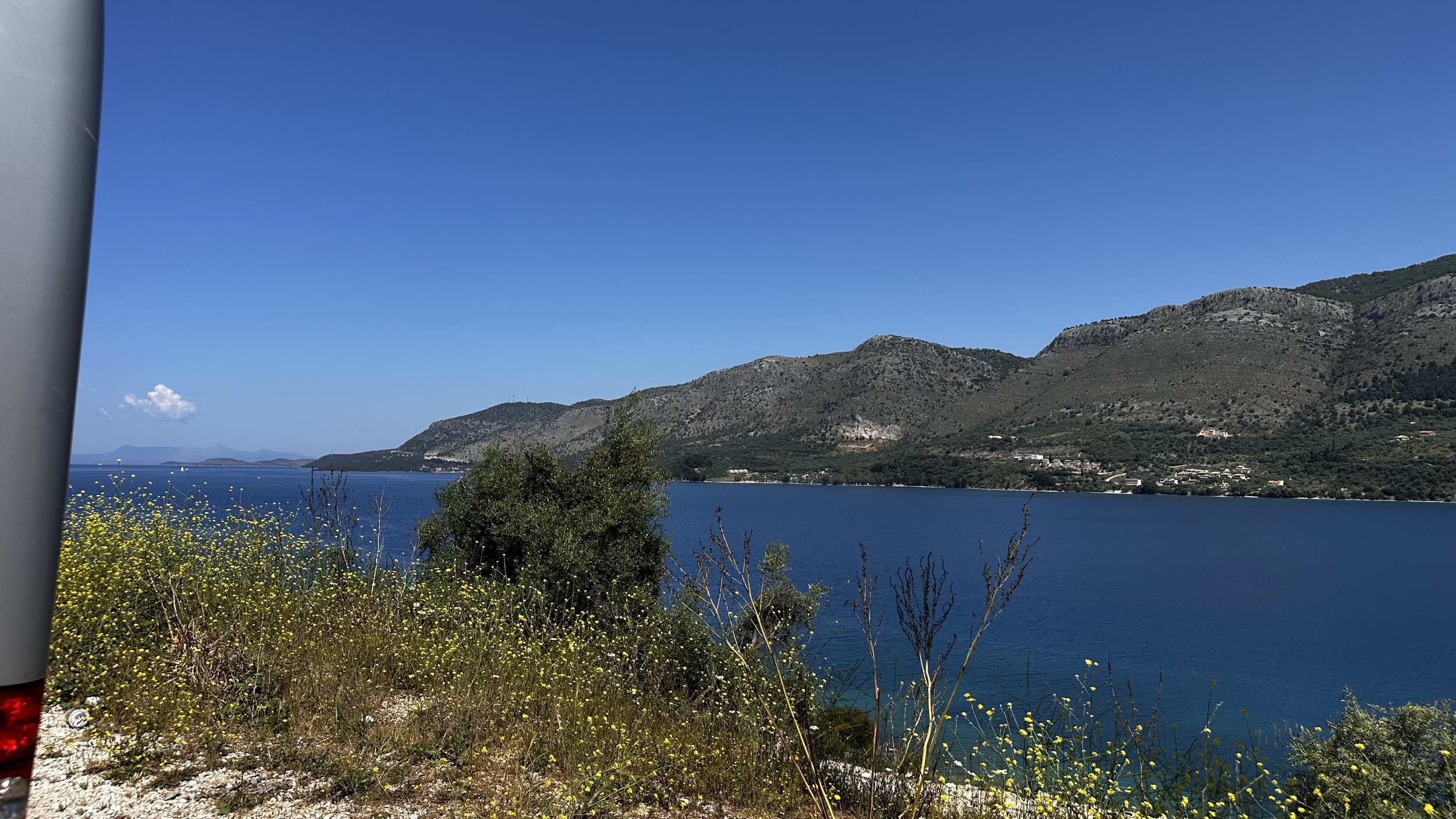 IMG_8400.jpeg