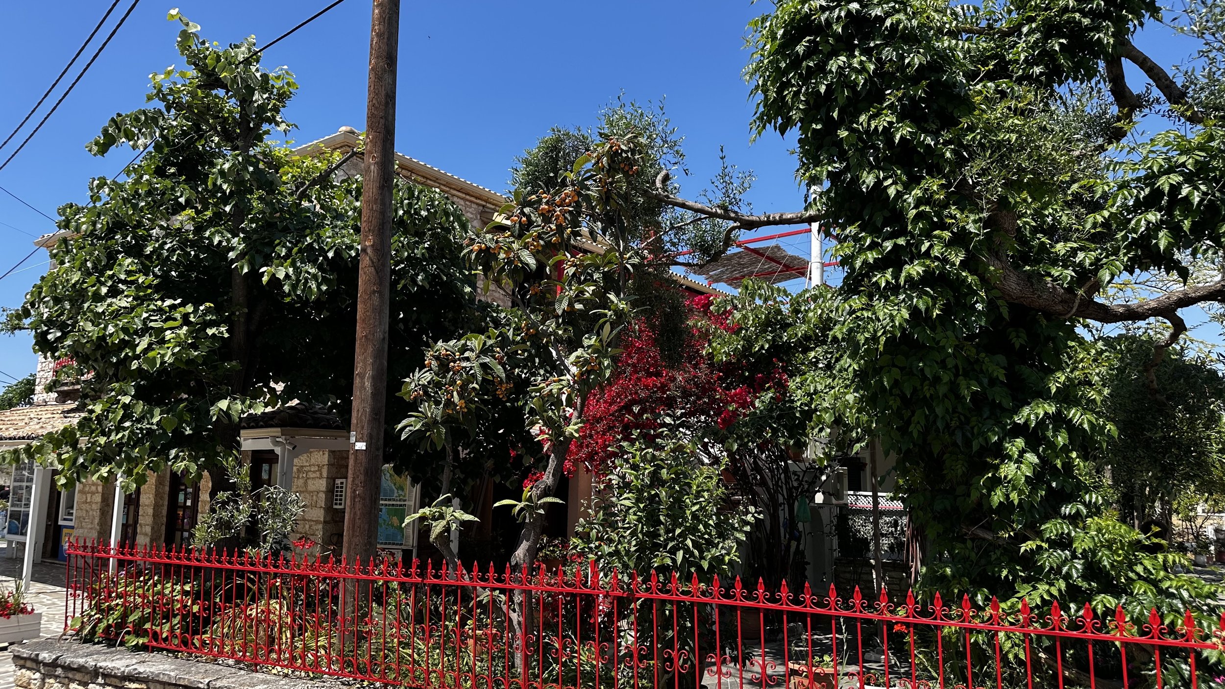 IMG_8414.jpeg